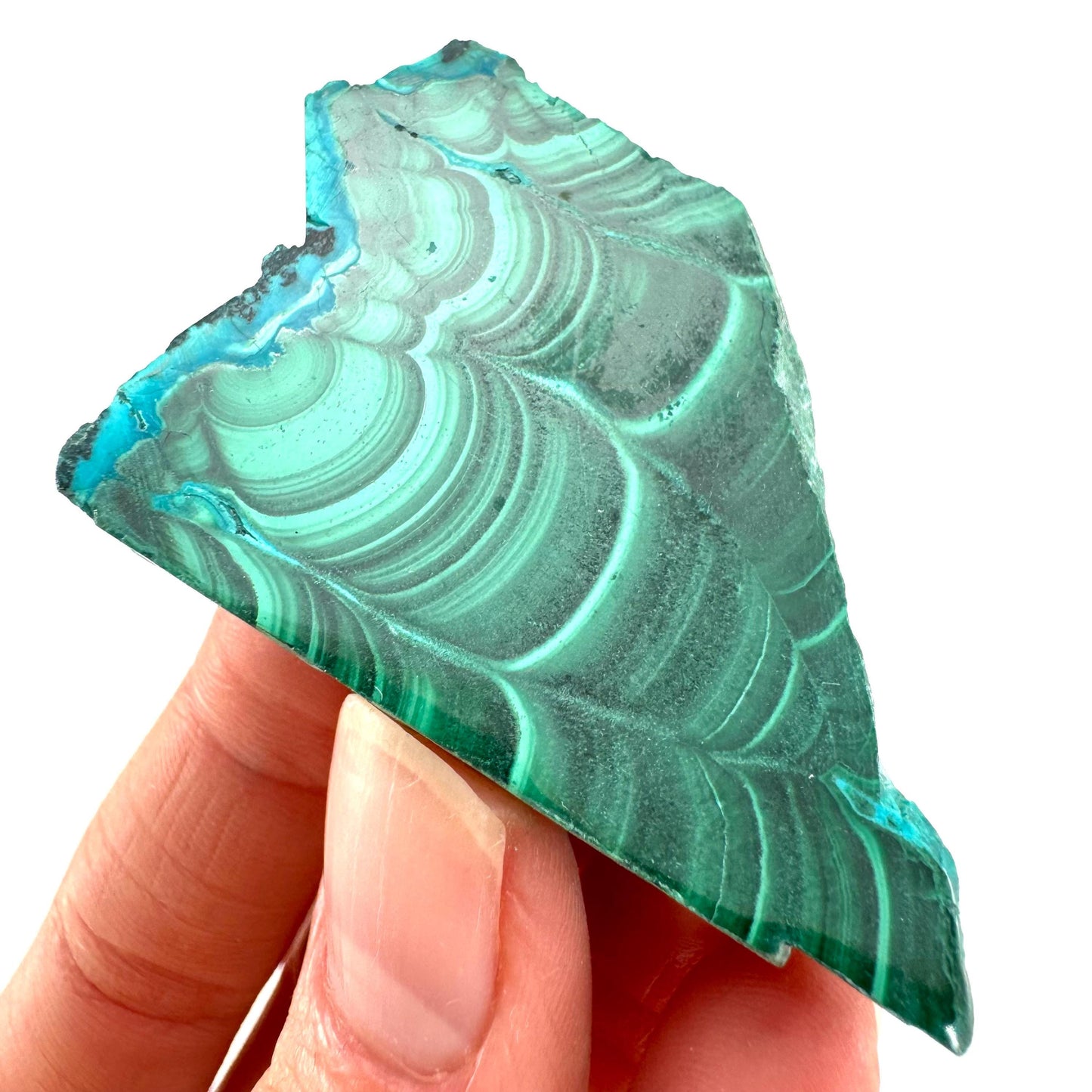 Malachite & Chrysocolla Slice (Congo), natural malachite, malachite slice, malachite slab, malacolla slice, polished malachite