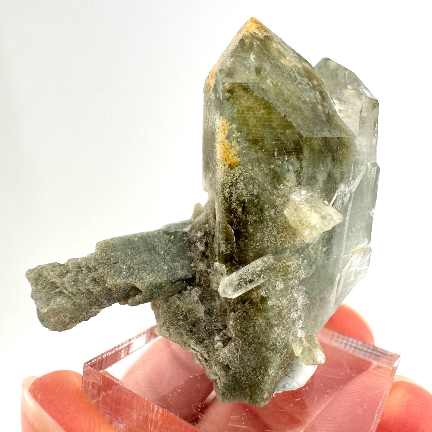 Chlorite Quartz (Pakistan) | green phantom quartz crystal, green chlorite quartz, mineral specimen
