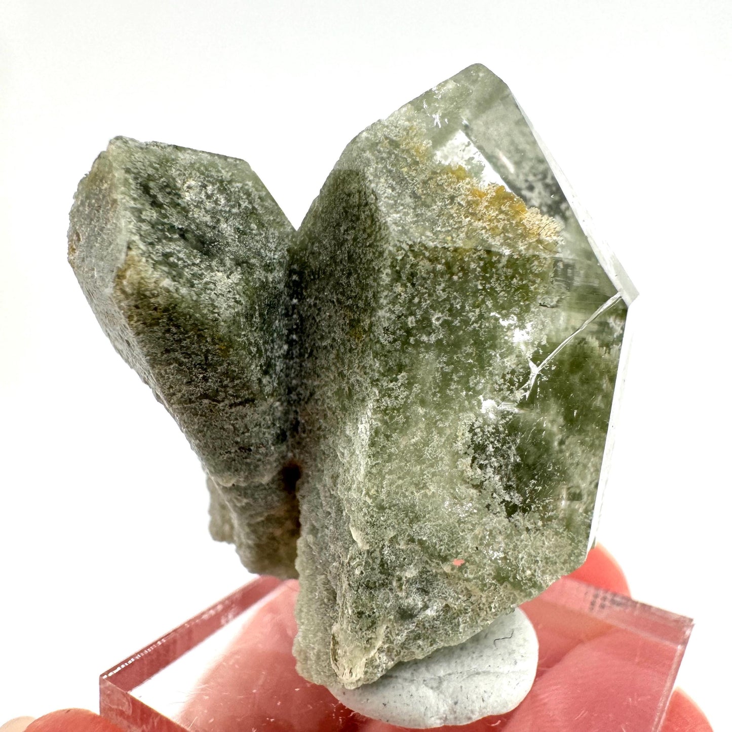 Chlorite Quartz (Pakistan) | green phantom quartz crystal, green chlorite quartz, mineral specimen