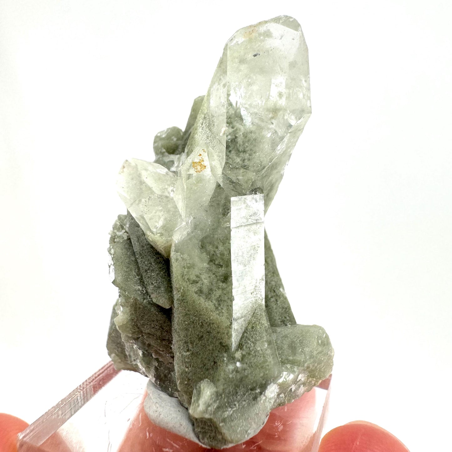 Chlorite Quartz (Pakistan) | green phantom quartz crystal, green chlorite quartz, mineral specimen