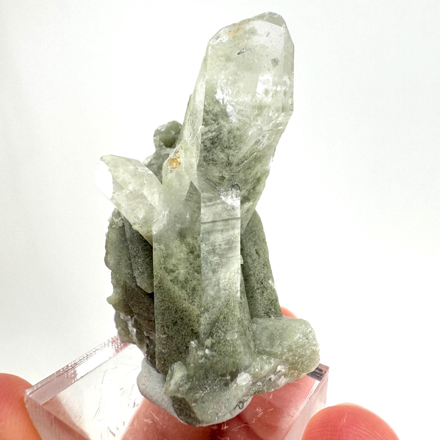 Chlorite Quartz (Pakistan) | green phantom quartz crystal, green chlorite quartz, mineral specimen