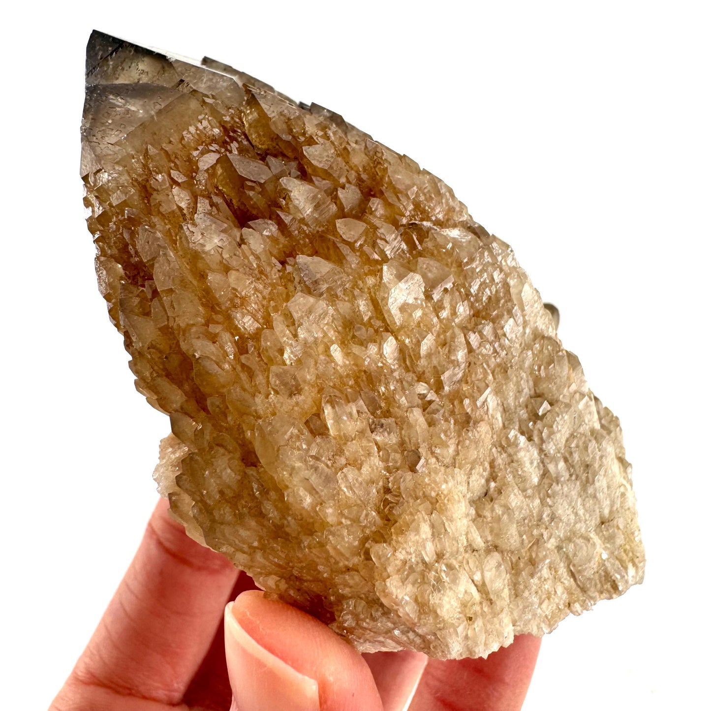 Elestial Smoky Quartz (Namibia) | smoky quartz crystal, mineral specimen