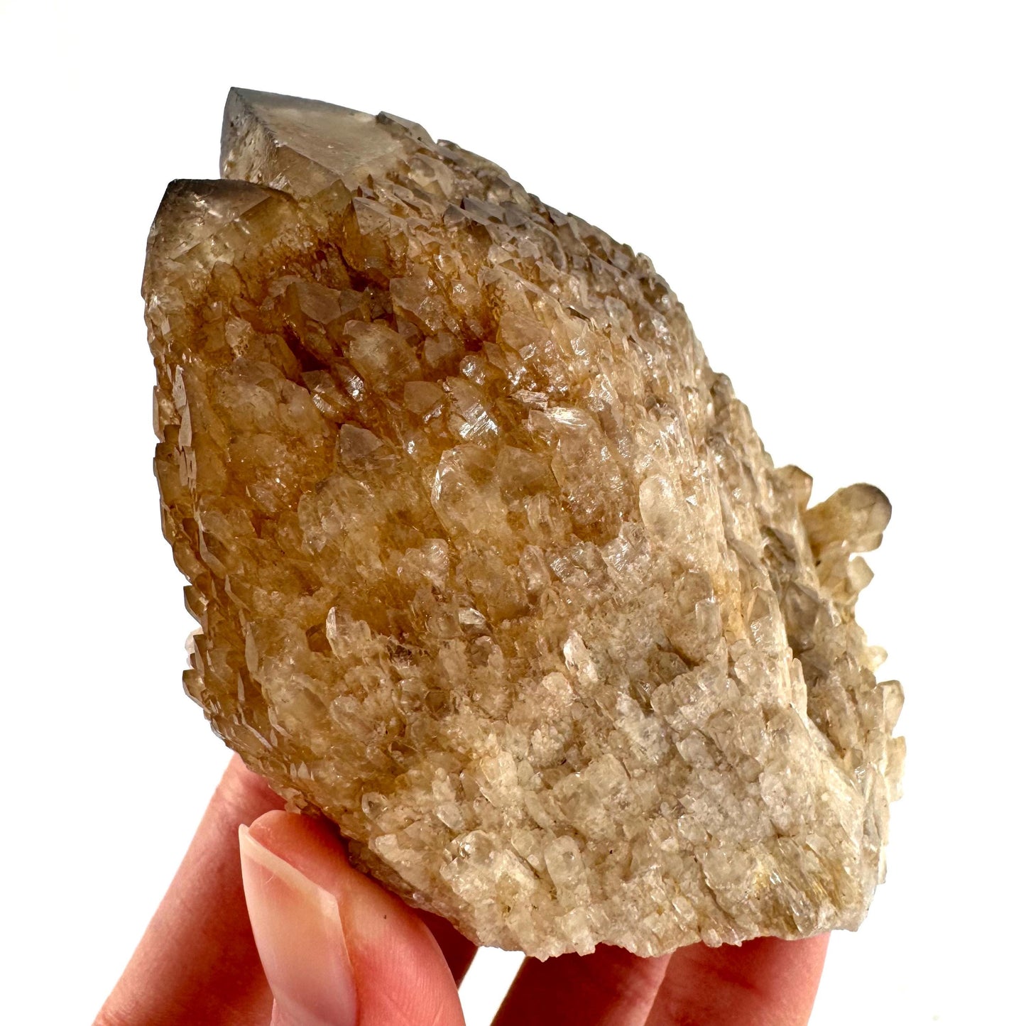 Elestial Smoky Quartz (Namibia) | smoky quartz crystal, mineral specimen