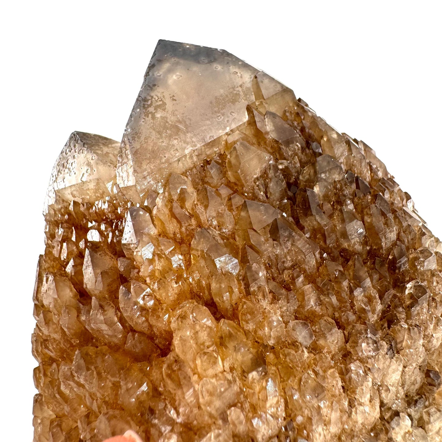 Elestial Smoky Quartz (Namibia) | smoky quartz crystal, mineral specimen