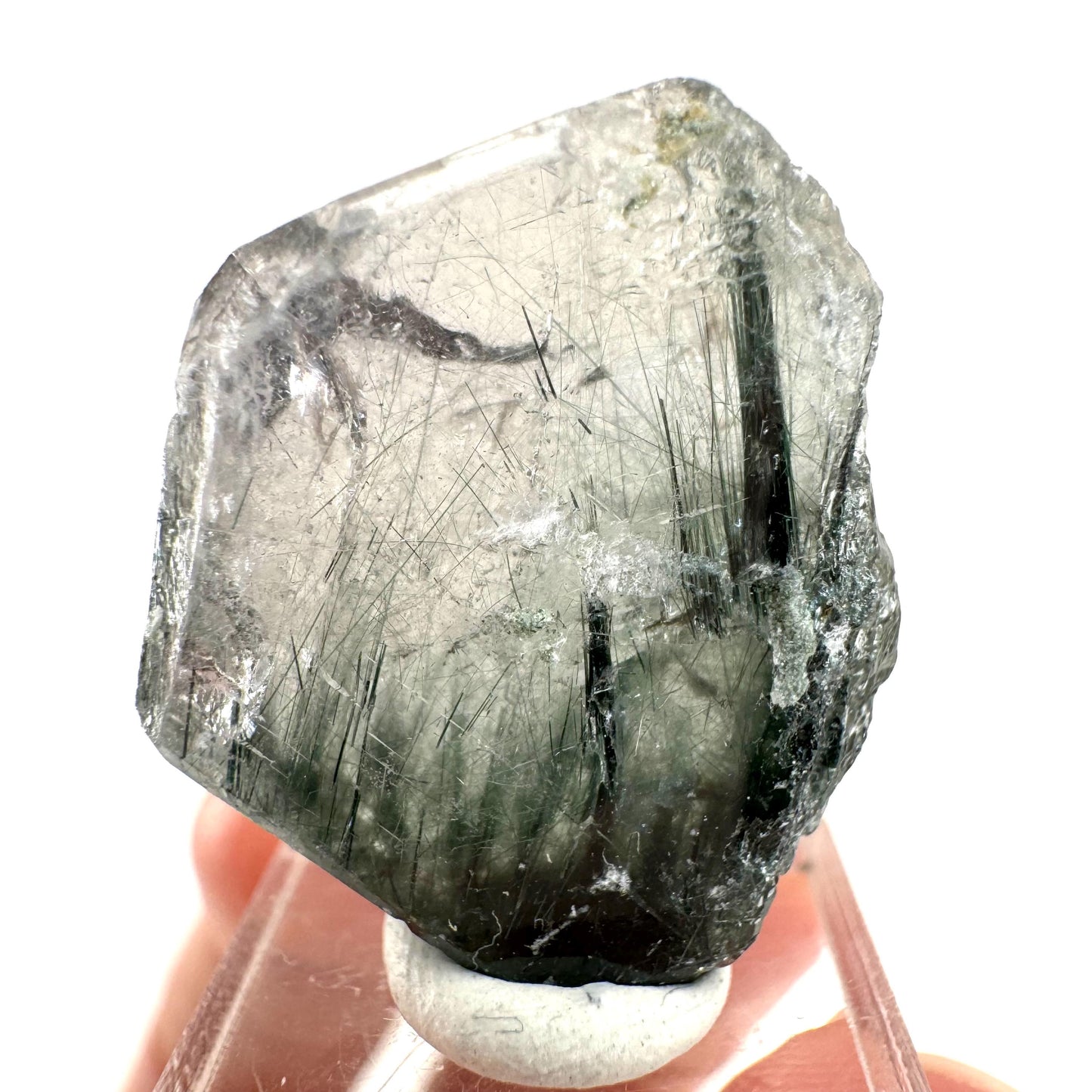 Fluorapatite with Actinolite Inclusions (Pakistan) | terminated apatite crystal, mineral specimen, rare crystals