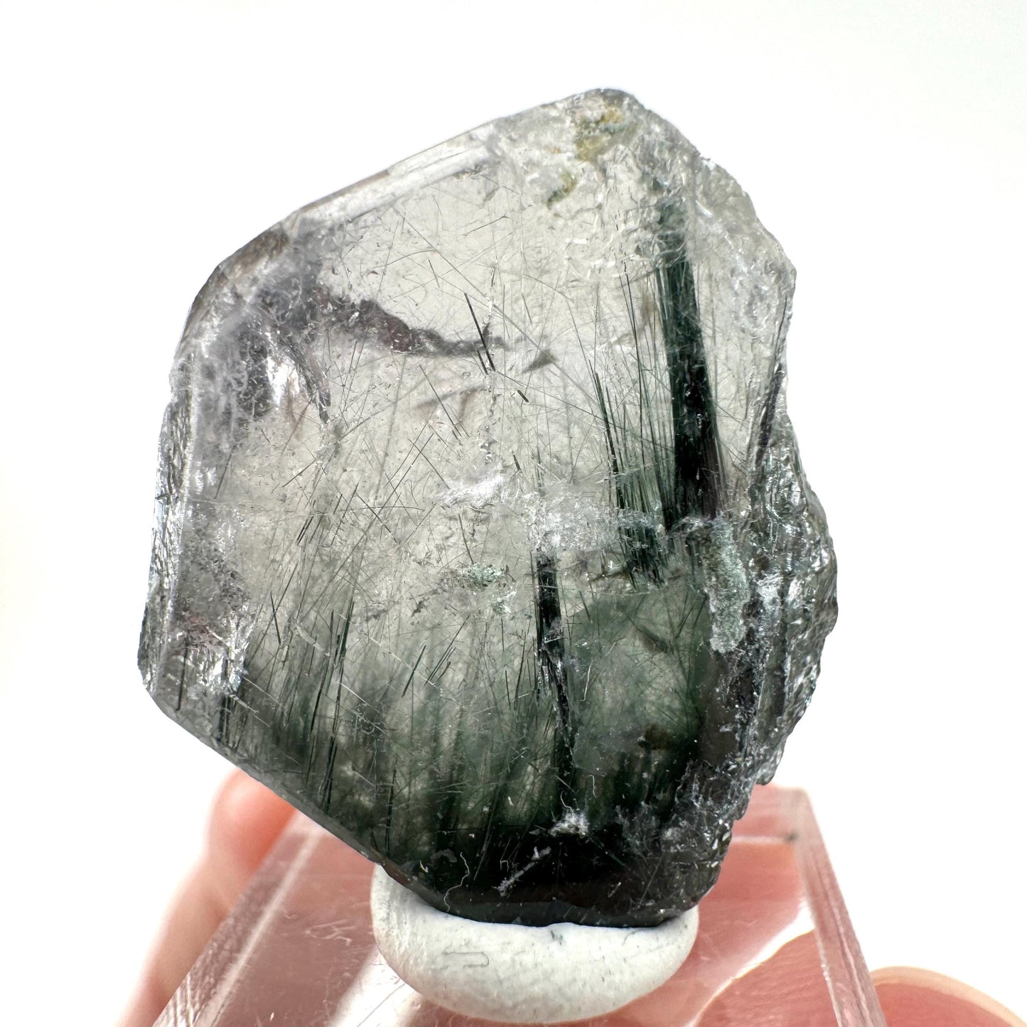 Fluorapatite with Actinolite Inclusions (Pakistan) | terminated apatite crystal, mineral specimen, rare crystals