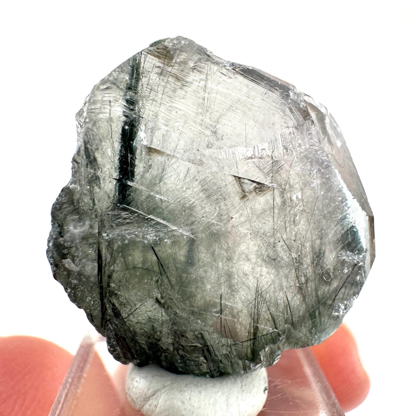 Fluorapatite with Actinolite Inclusions (Pakistan) | terminated apatite crystal, mineral specimen, rare crystals