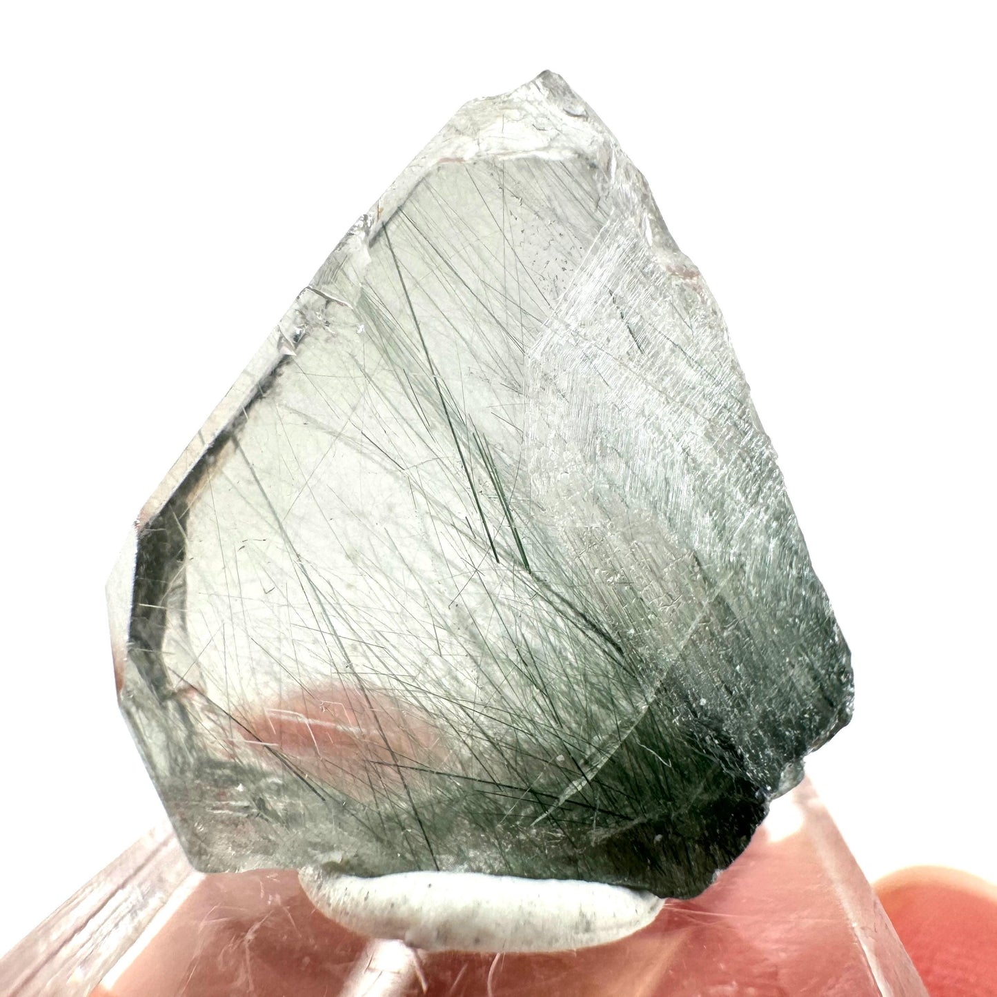 Fluorapatite with Actinolite Inclusions (Pakistan) | terminated apatite crystal, mineral specimen, rare crystals