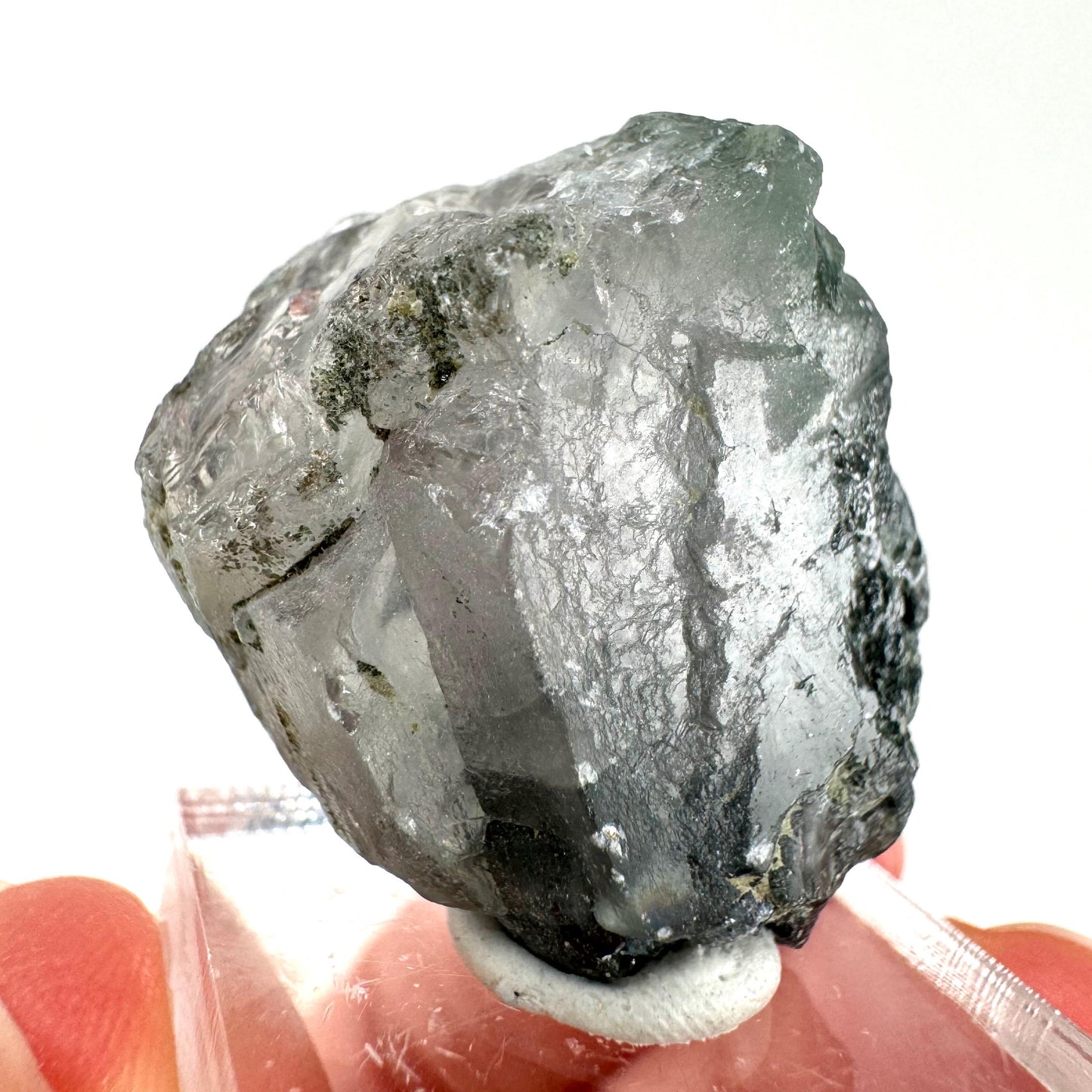 Fluorapatite with Actinolite Inclusions (Pakistan) | terminated apatite crystal, mineral specimen, rare crystals