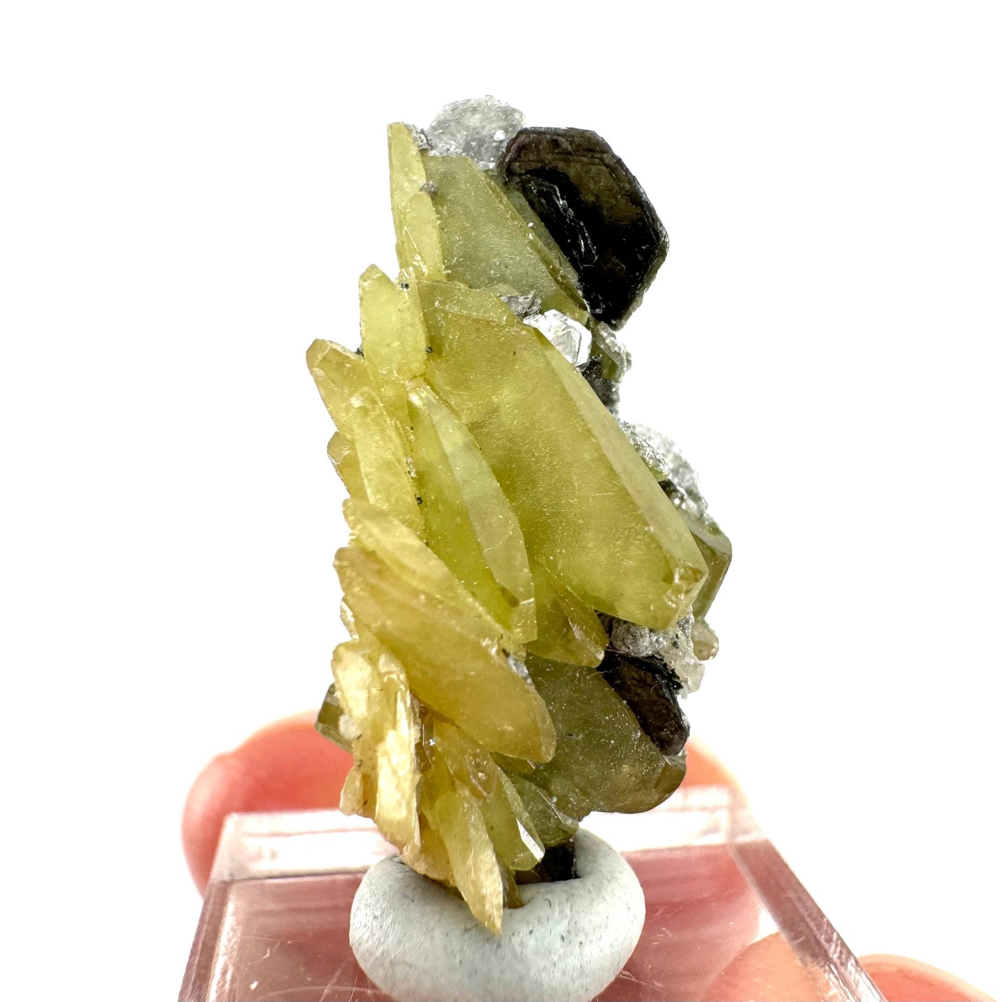 Titanite Specimen (Pakistan) | sphene titanite, titanite crystal, sphene crystal, rare minerals