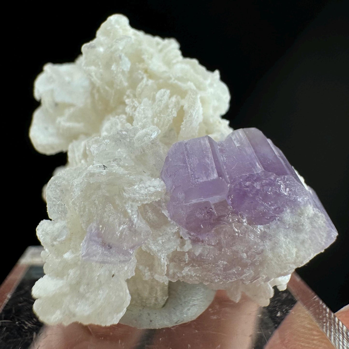 Purple Fluorapatite w/ Albite (Afghanistan) | fluorapatite crystal, natural purple apatite, mineral specimen