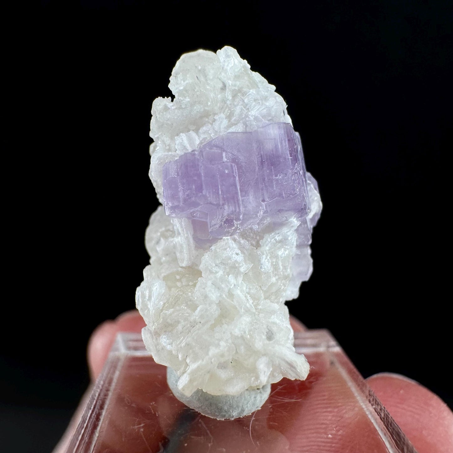 Purple Fluorapatite w/ Albite (Afghanistan) | fluorapatite crystal, natural purple apatite, mineral specimen