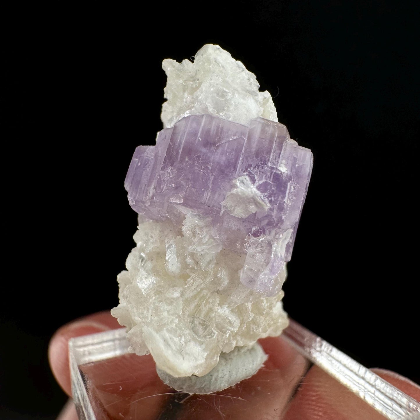 Purple Fluorapatite w/ Albite (Afghanistan) | fluorapatite crystal, natural purple apatite, mineral specimen