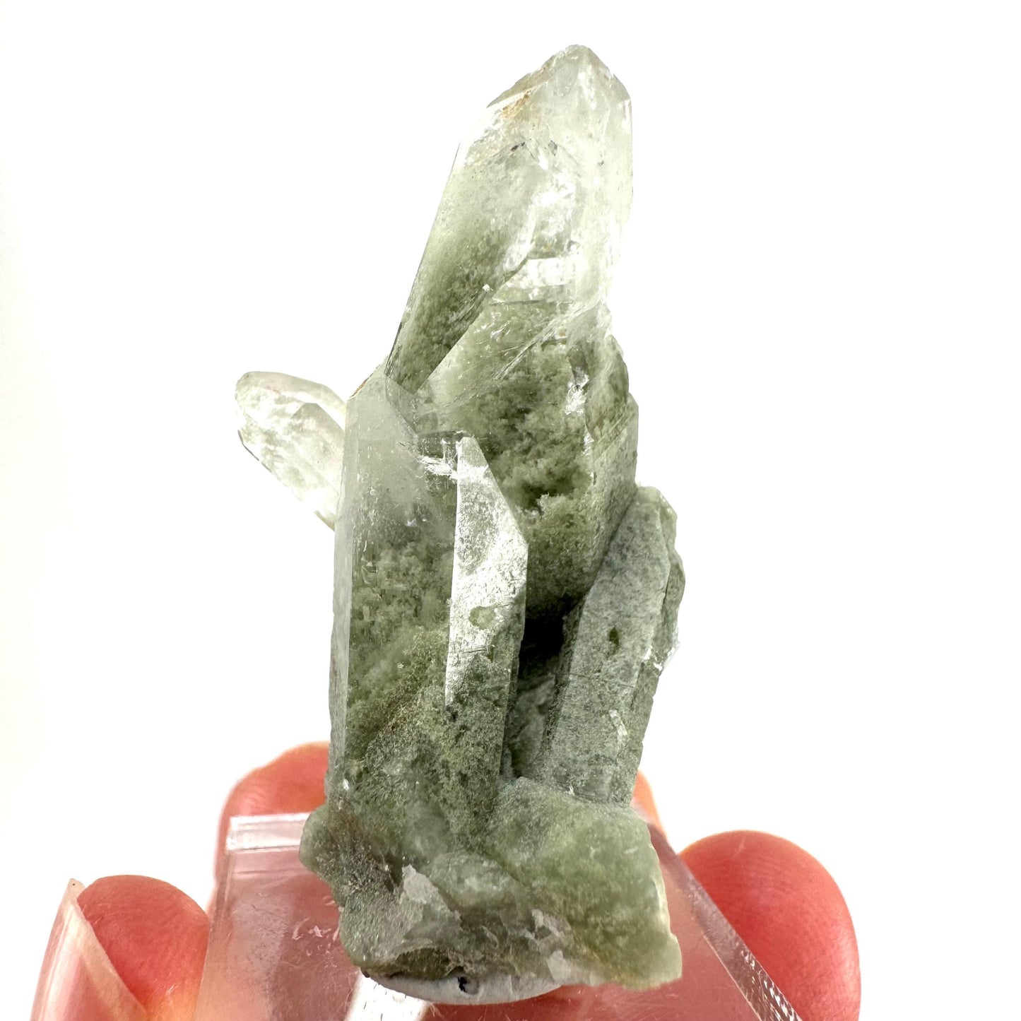 Chlorite Quartz (Pakistan) | green phantom quartz crystal, green chlorite quartz, mineral specimen