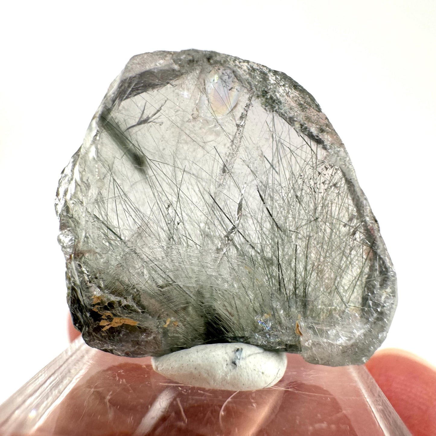 Fluorapatite with Actinolite Inclusions (Pakistan) | terminated apatite crystal, mineral specimen, rare crystals