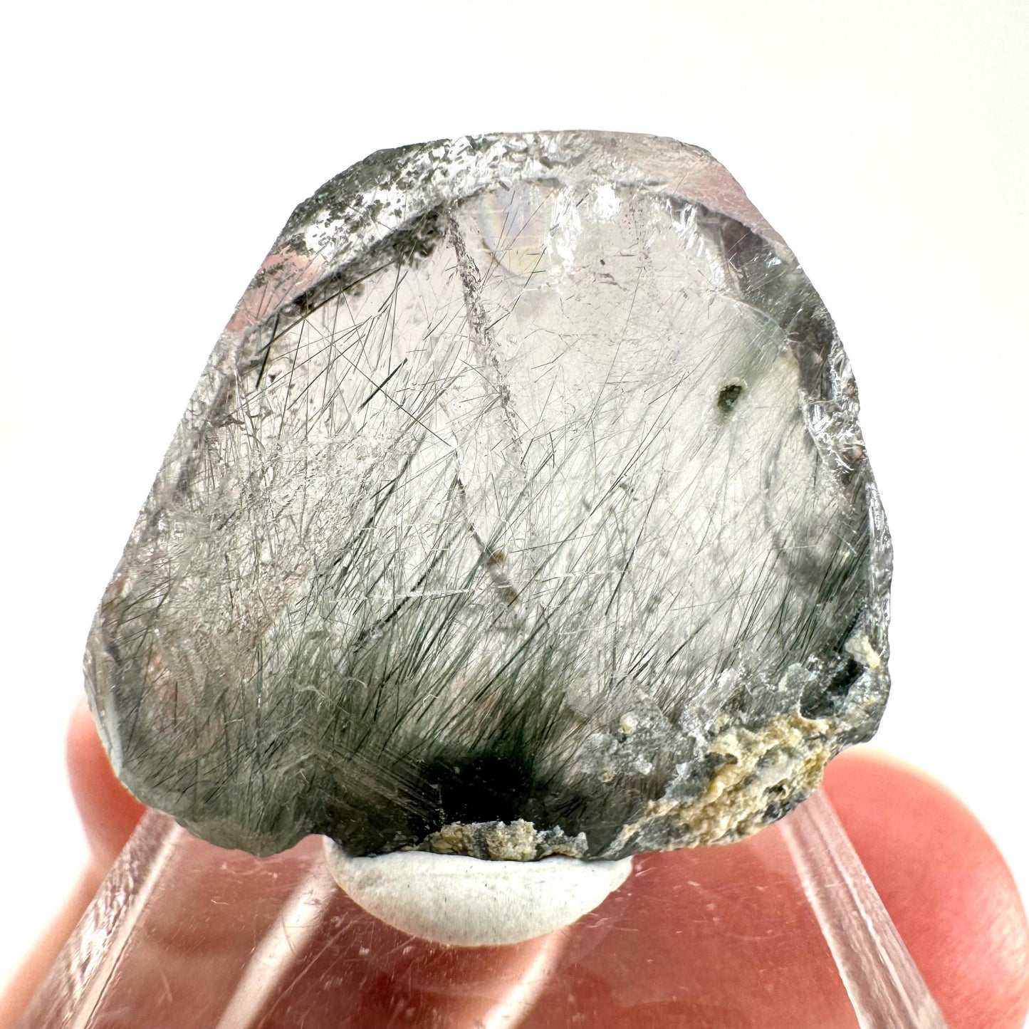 Fluorapatite with Actinolite Inclusions (Pakistan) | terminated apatite crystal, mineral specimen, rare crystals