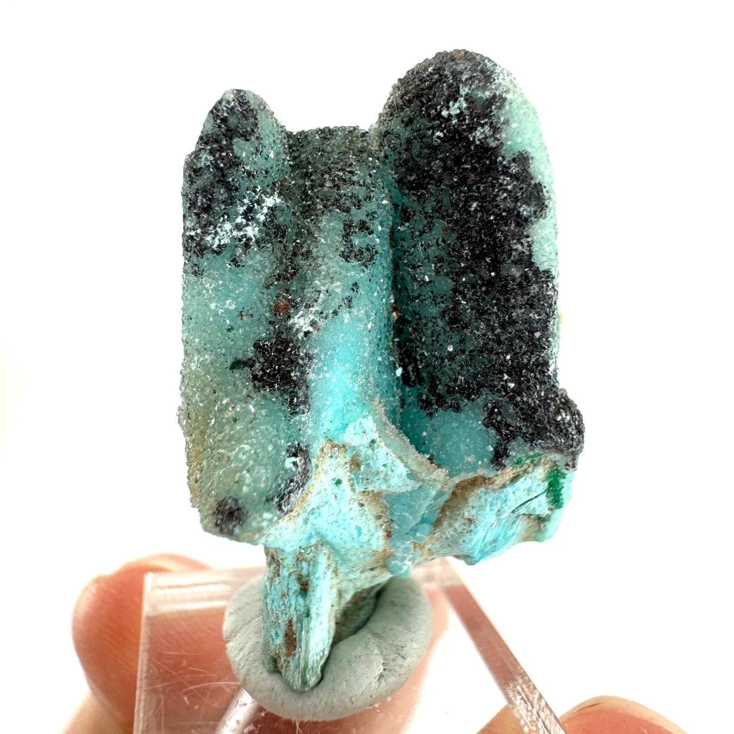 Chrysocolla Pseudomorph after Azurite (DR Congo) | blue chrysocolla crystal, mineral specimen