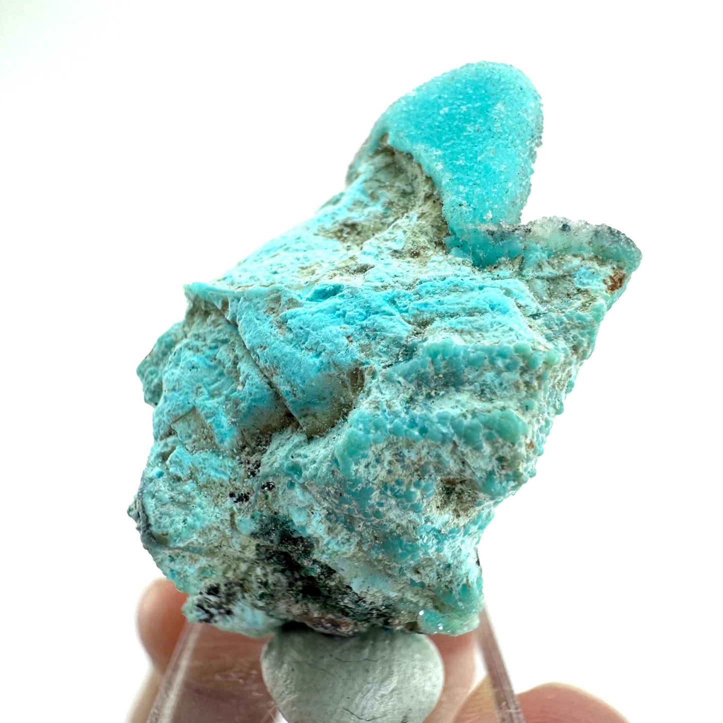 Chrysocolla Pseudomorph after Azurite (DR Congo) | blue chrysocolla crystal, mineral specimen