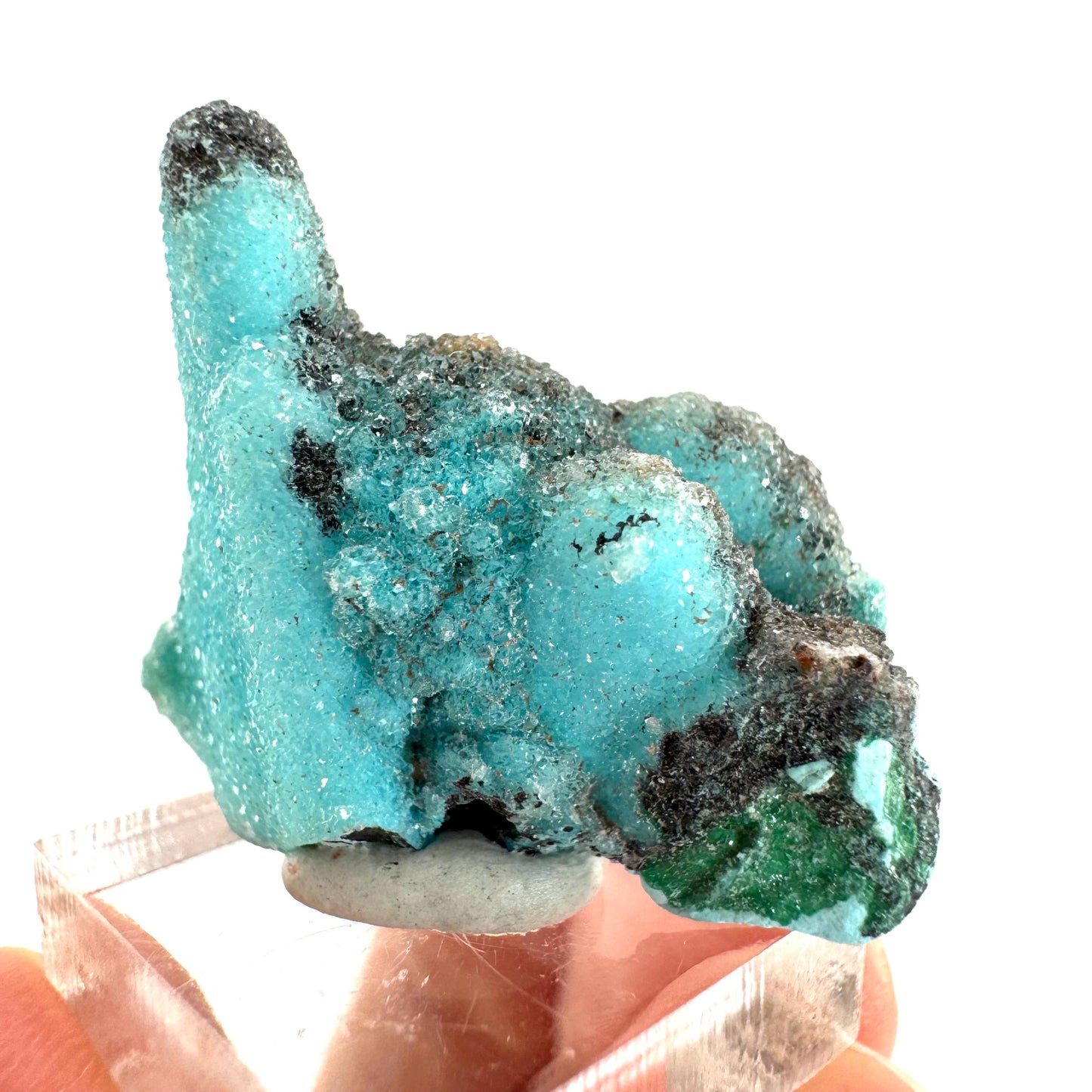 Chrysocolla Pseudomorph after Azurite (DR Congo) | blue chrysocolla crystal, mineral specimen
