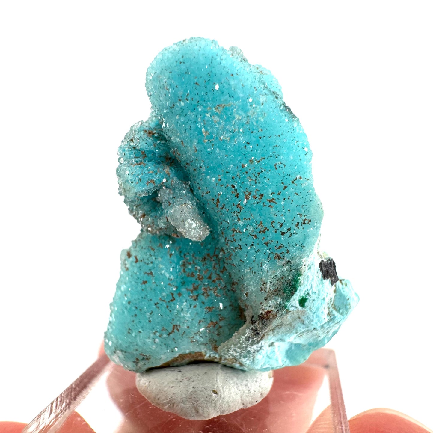 Chrysocolla Pseudomorph after Azurite (DR Congo) | blue chrysocolla crystal, mineral specimen