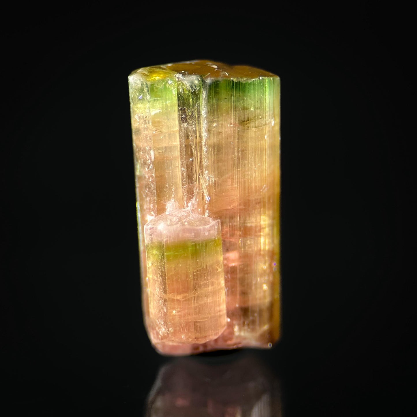 Elbaite Tourmaline (Afghanistan) | natural bi color tourmaline crystal