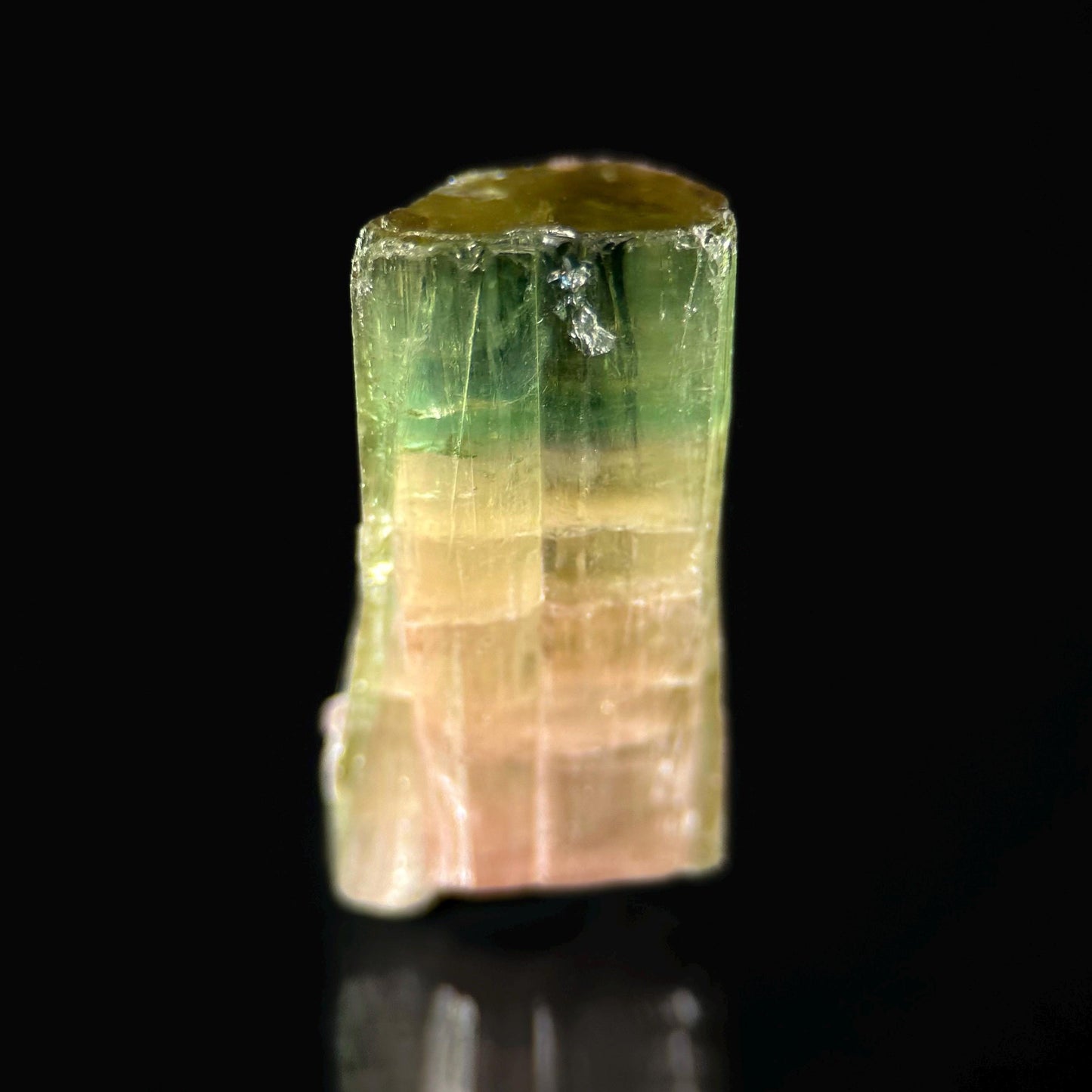 Elbaite Tourmaline (Afghanistan) | natural bi color tourmaline crystal