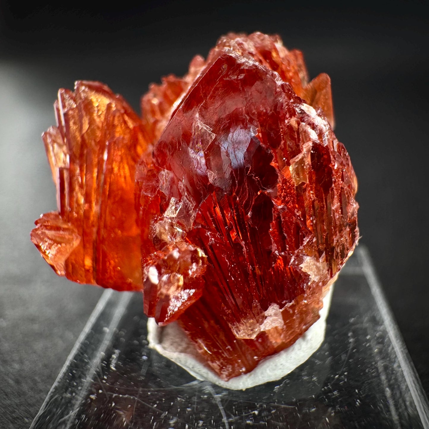 Rhodochrosite (South Africa) | natural rhodochrosite crystal, rare, mineral specimen
