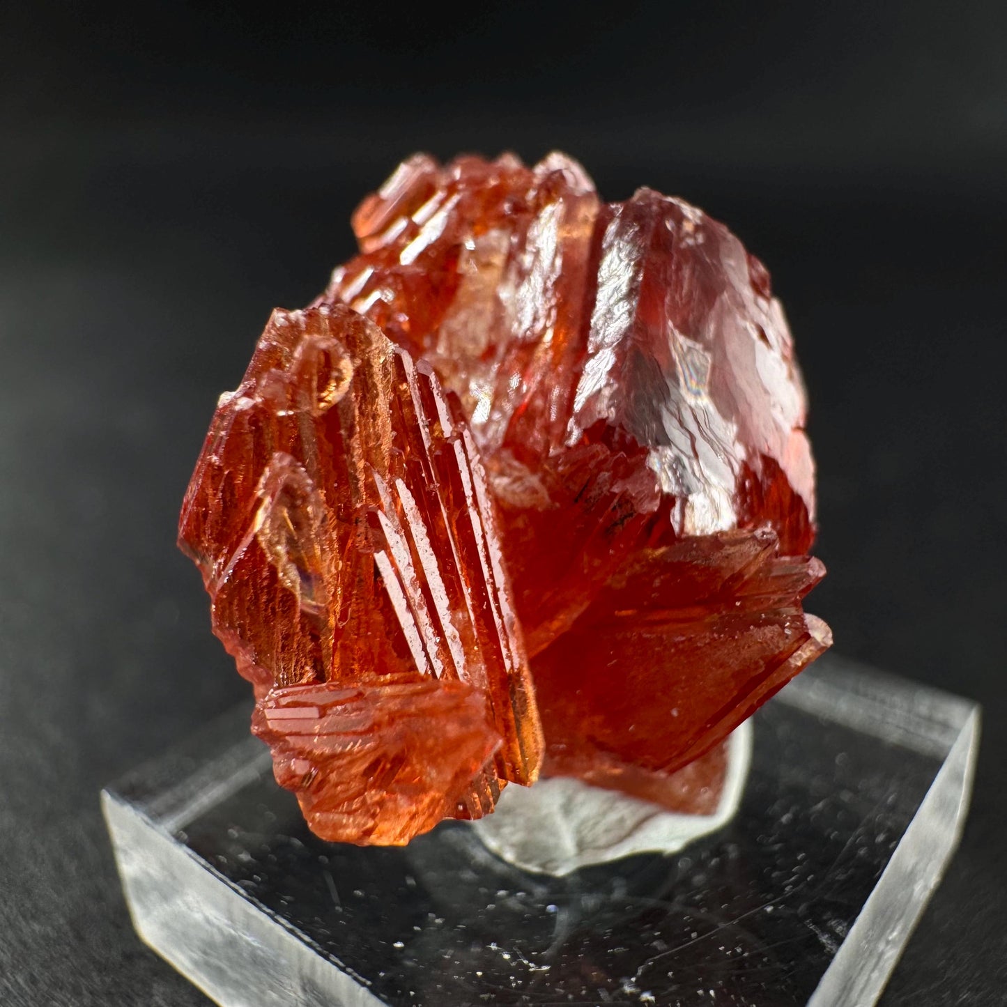 Rhodochrosite (South Africa) | natural rhodochrosite crystal, rare, mineral specimen