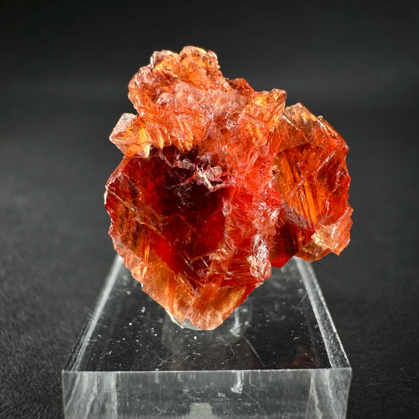 Rhodochrosite (South Africa) | natural rhodochrosite crystal, rare, mineral specimen