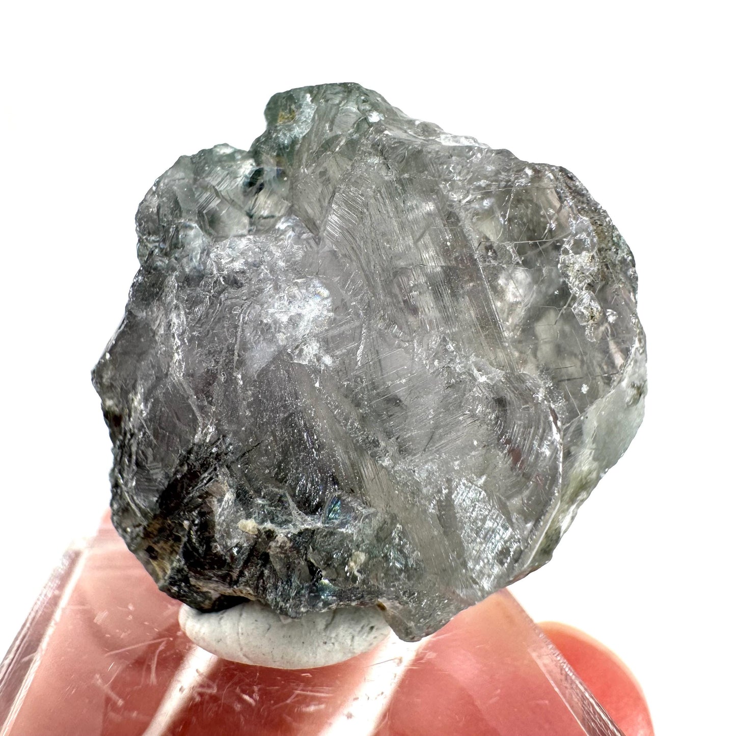 Fluorapatite with Actinolite Inclusions (Pakistan) | terminated apatite crystal, mineral specimen, rare crystals