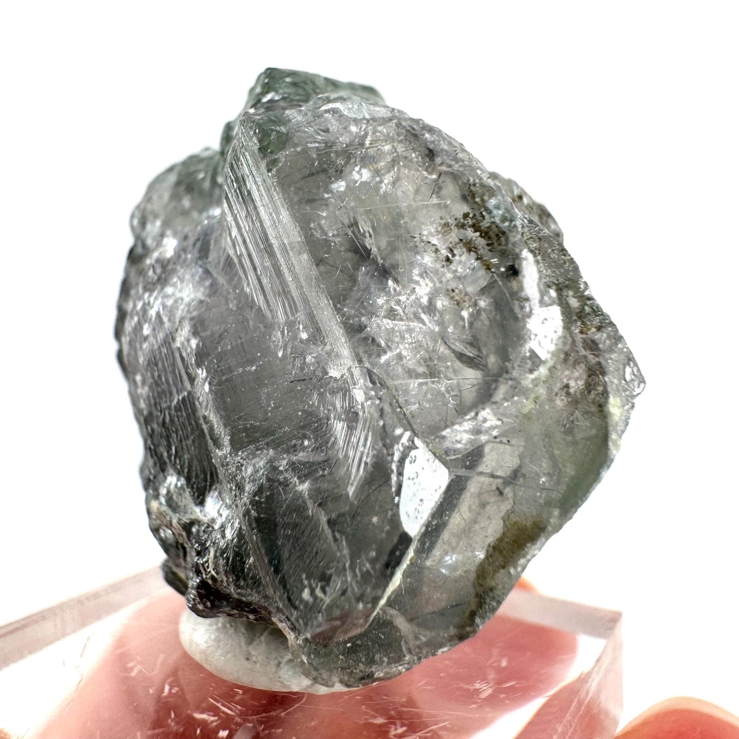 Fluorapatite with Actinolite Inclusions (Pakistan) | terminated apatite crystal, mineral specimen, rare crystals
