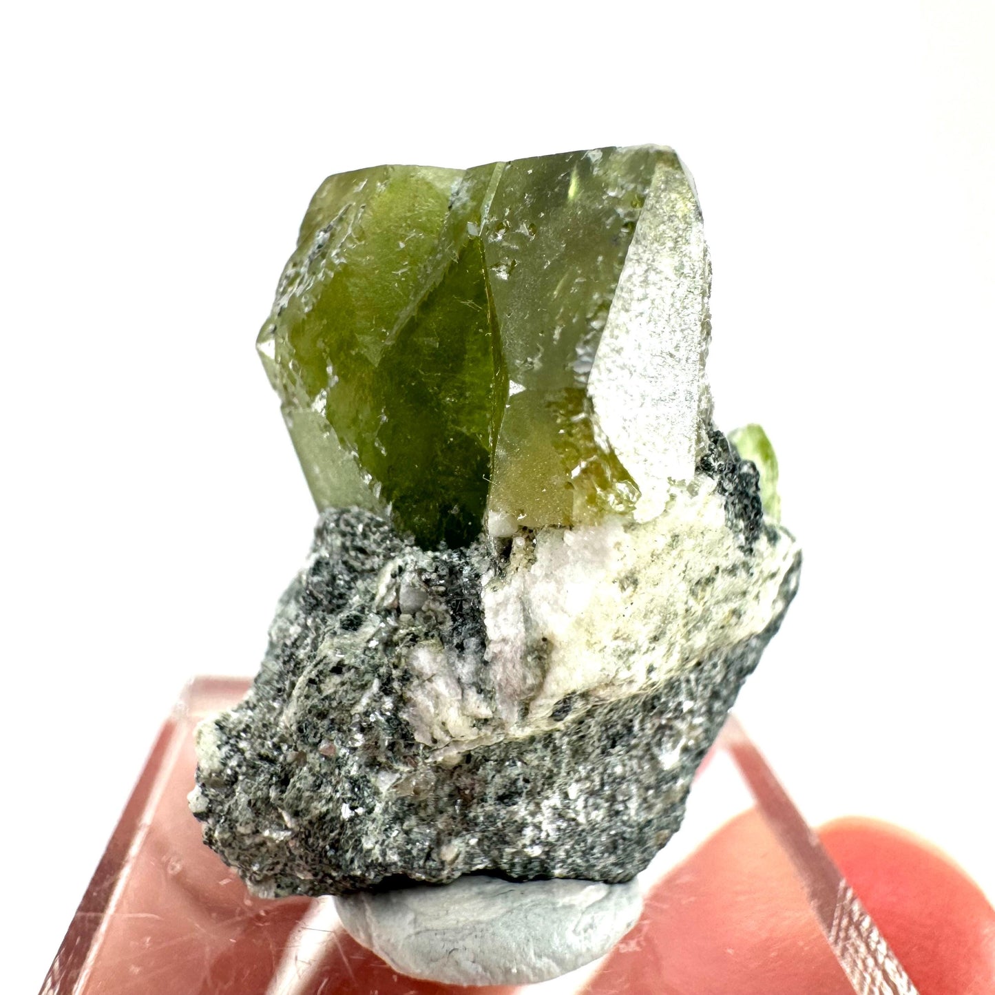 Titanite with Chlorite on Matrix (Pakistan) | sphene titanite, titanite crystal, sphene crystal, rare minerals