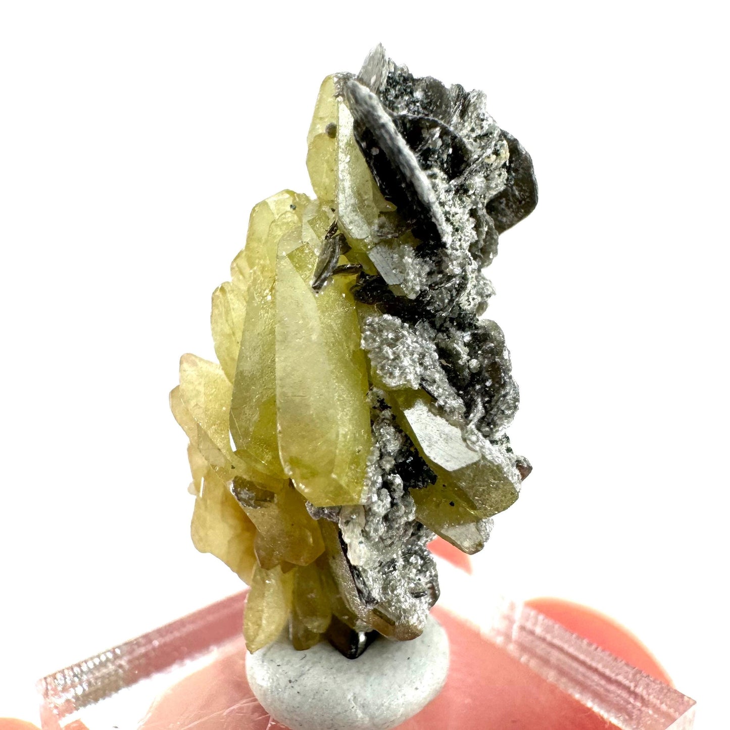 Titanite Specimen (Pakistan) | sphene titanite, titanite crystal, sphene crystal, rare minerals