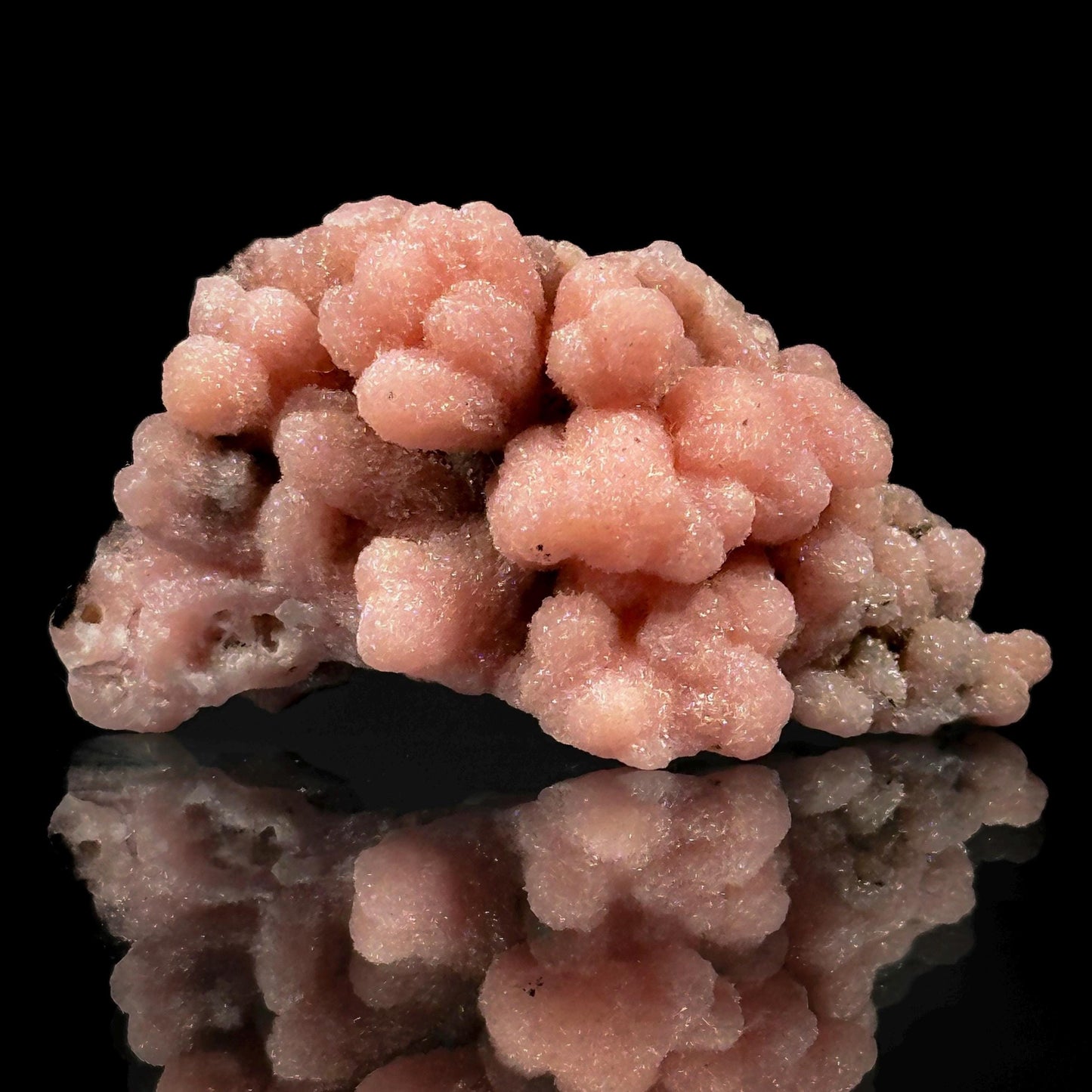 Rhodochrosite (South Africa) | natural rhodochrosite crystal, rare, mineral specimen