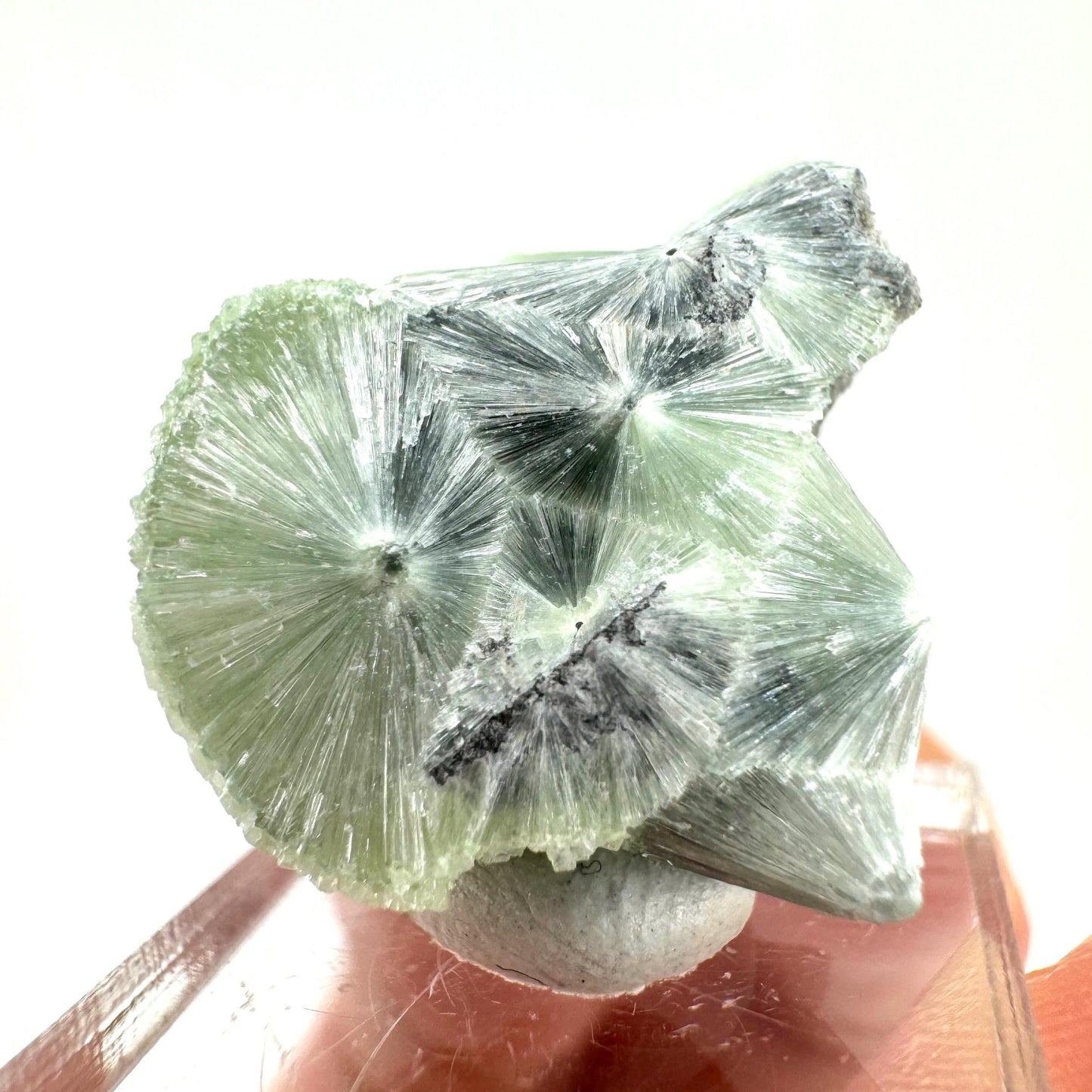 Wavellite (Arkansas, USA) | Wavellite crystal, wavellite cluster, mineral specimen, crystals