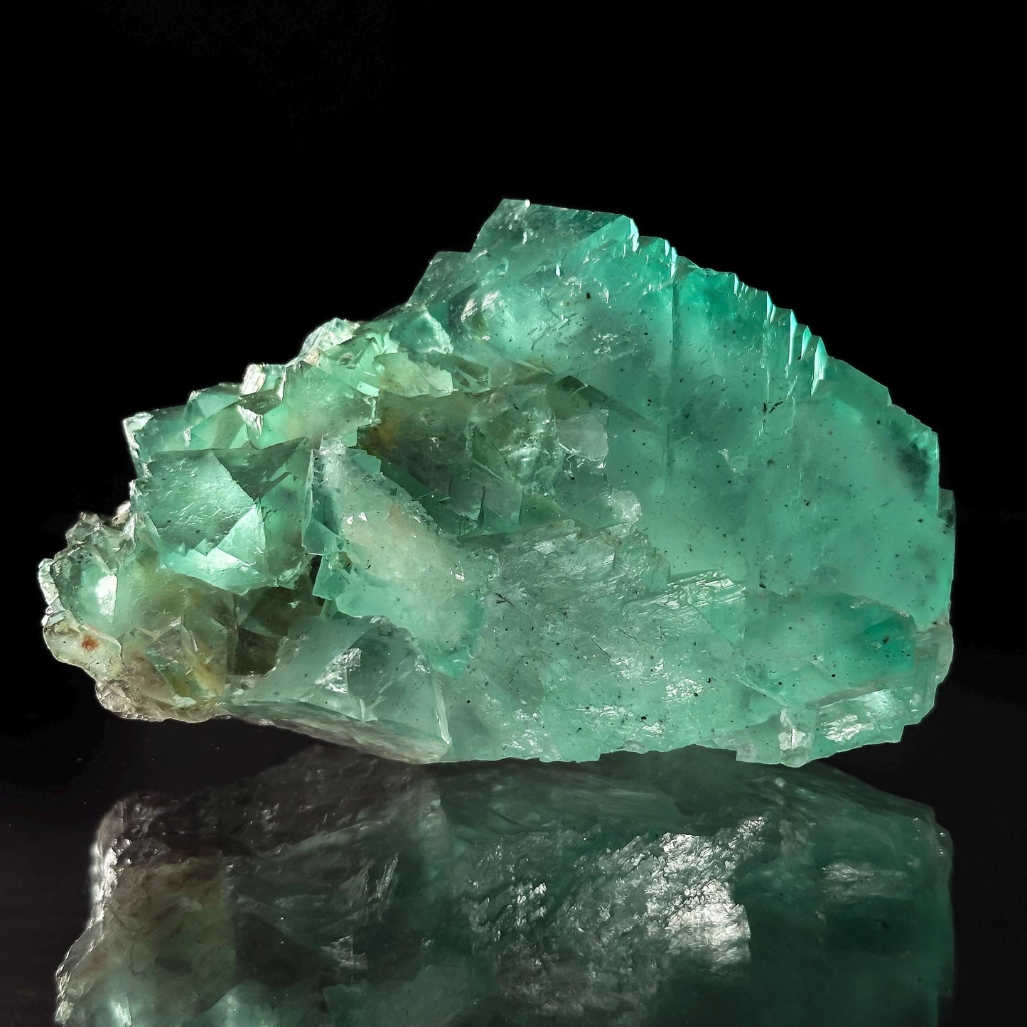 Riemvasmaak Fluorite (South Africa) | octahedral fluorite, green fluorite, mineral specimen