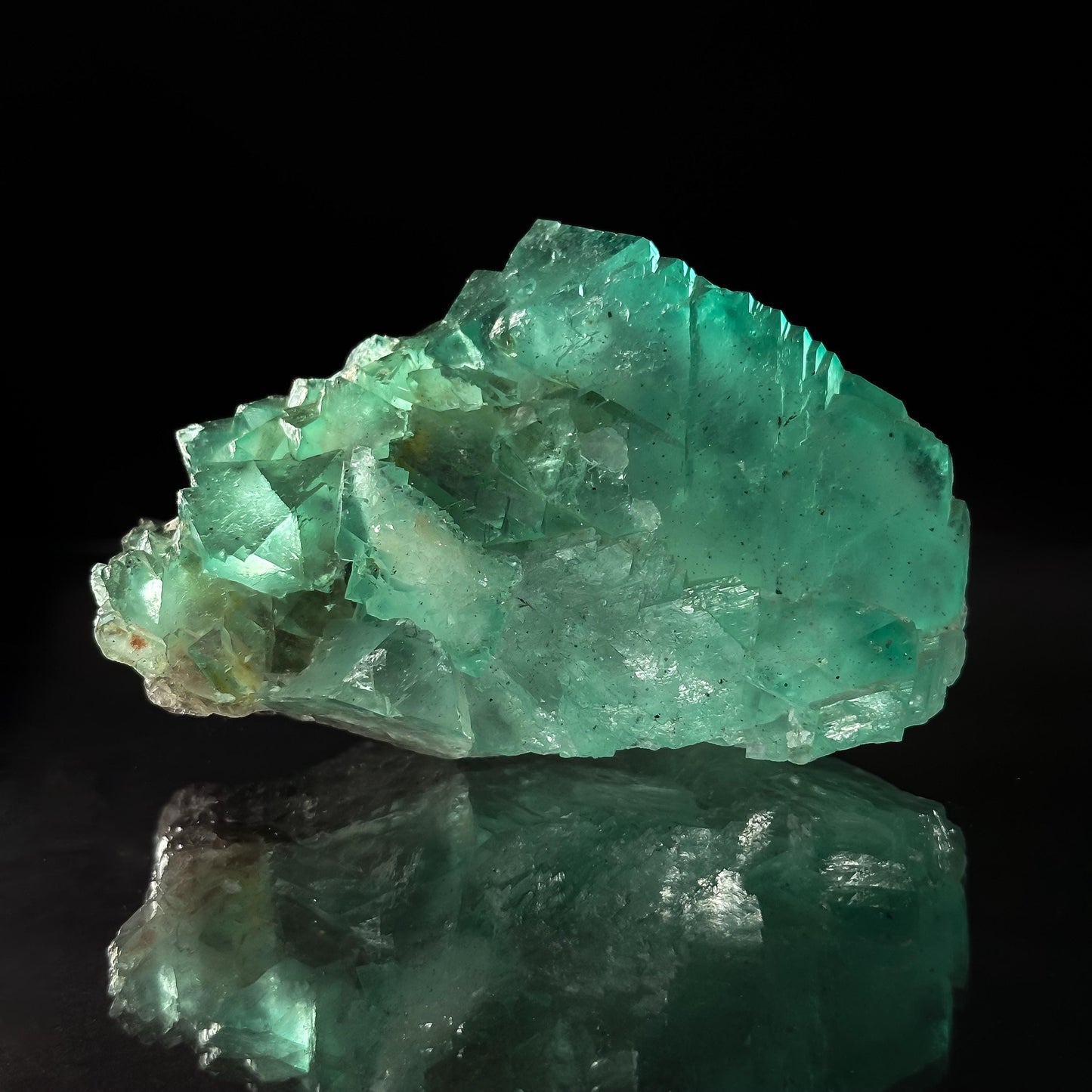 Riemvasmaak Fluorite (South Africa) | octahedral fluorite, green fluorite, mineral specimen