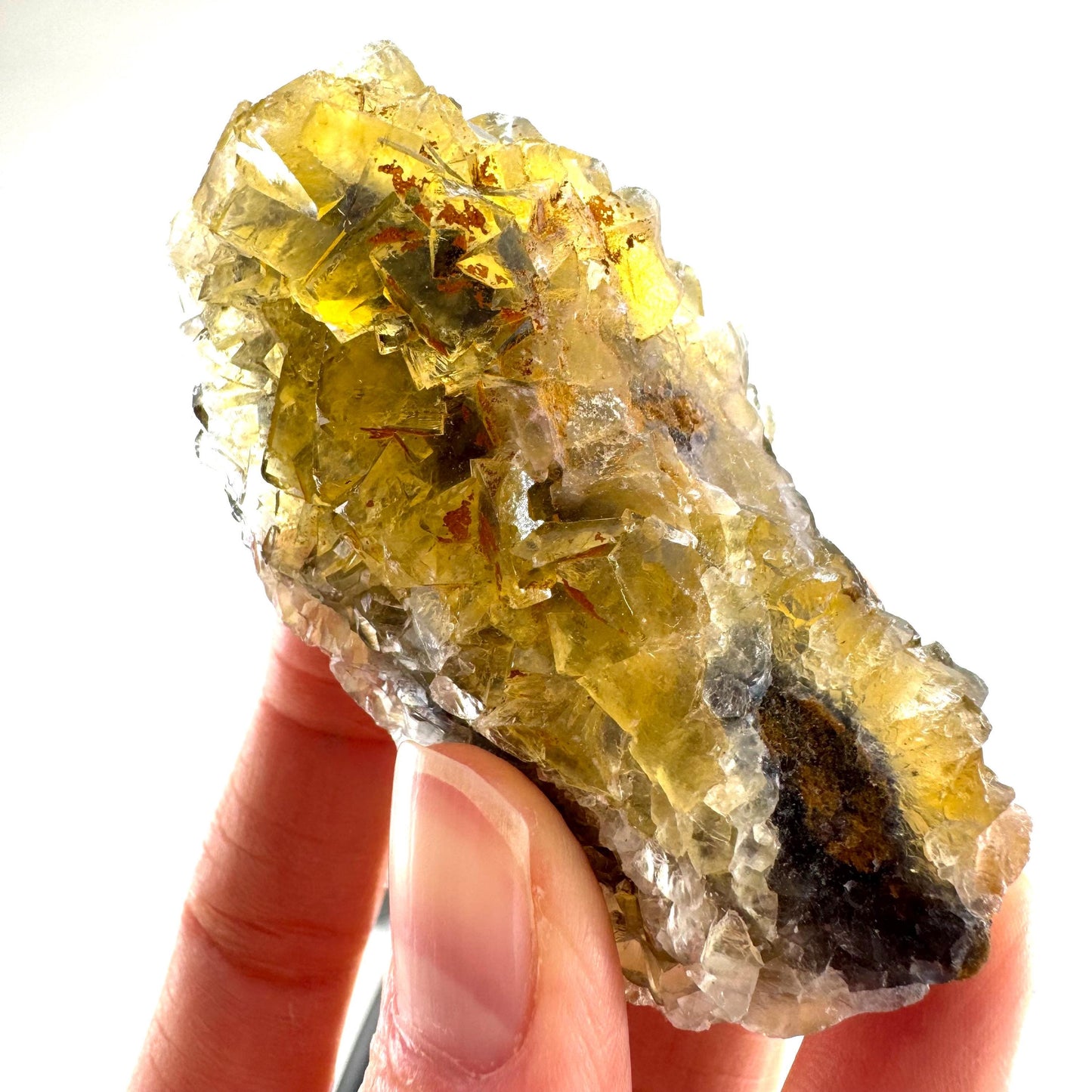 Okorusu Fluorite (Namibia) | “Honey Pocket” fluorite cluster, yellow fluorite crystal, mineral specimen