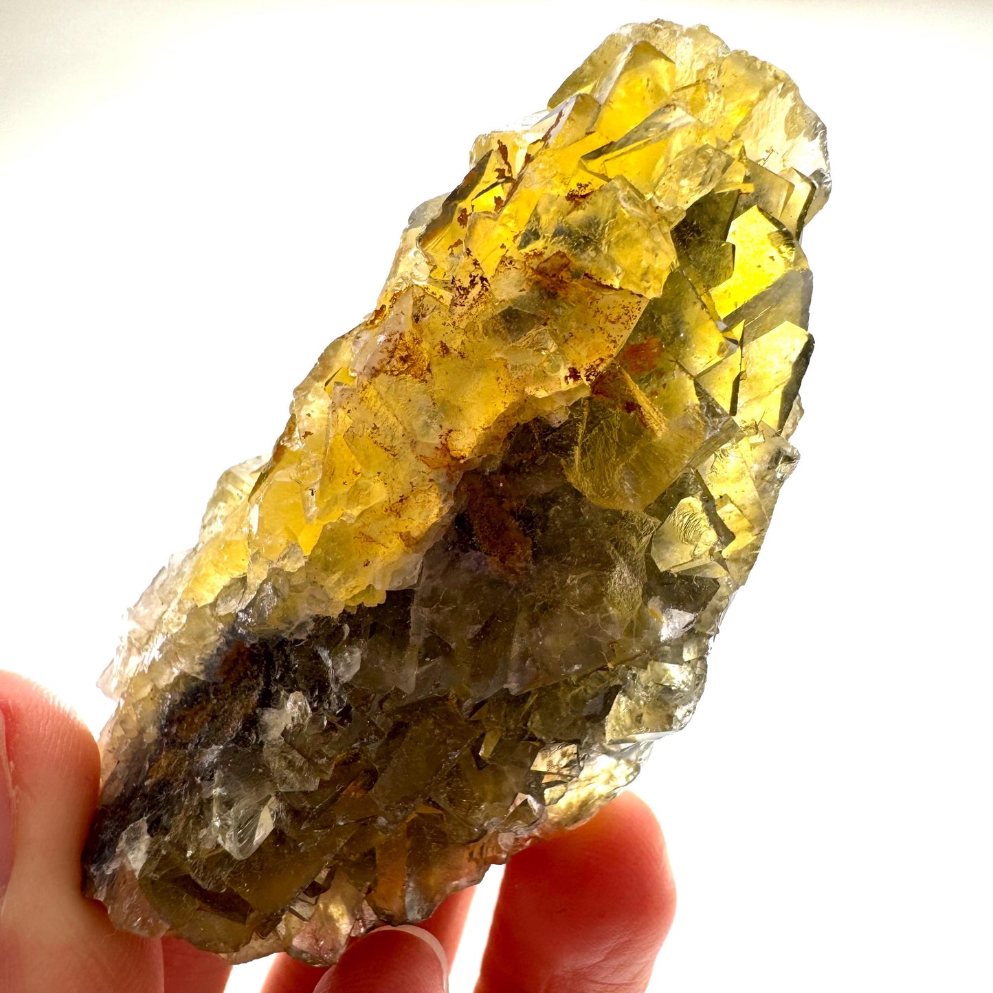 Okorusu Fluorite (Namibia) | “Honey Pocket” fluorite cluster, yellow fluorite crystal, mineral specimen