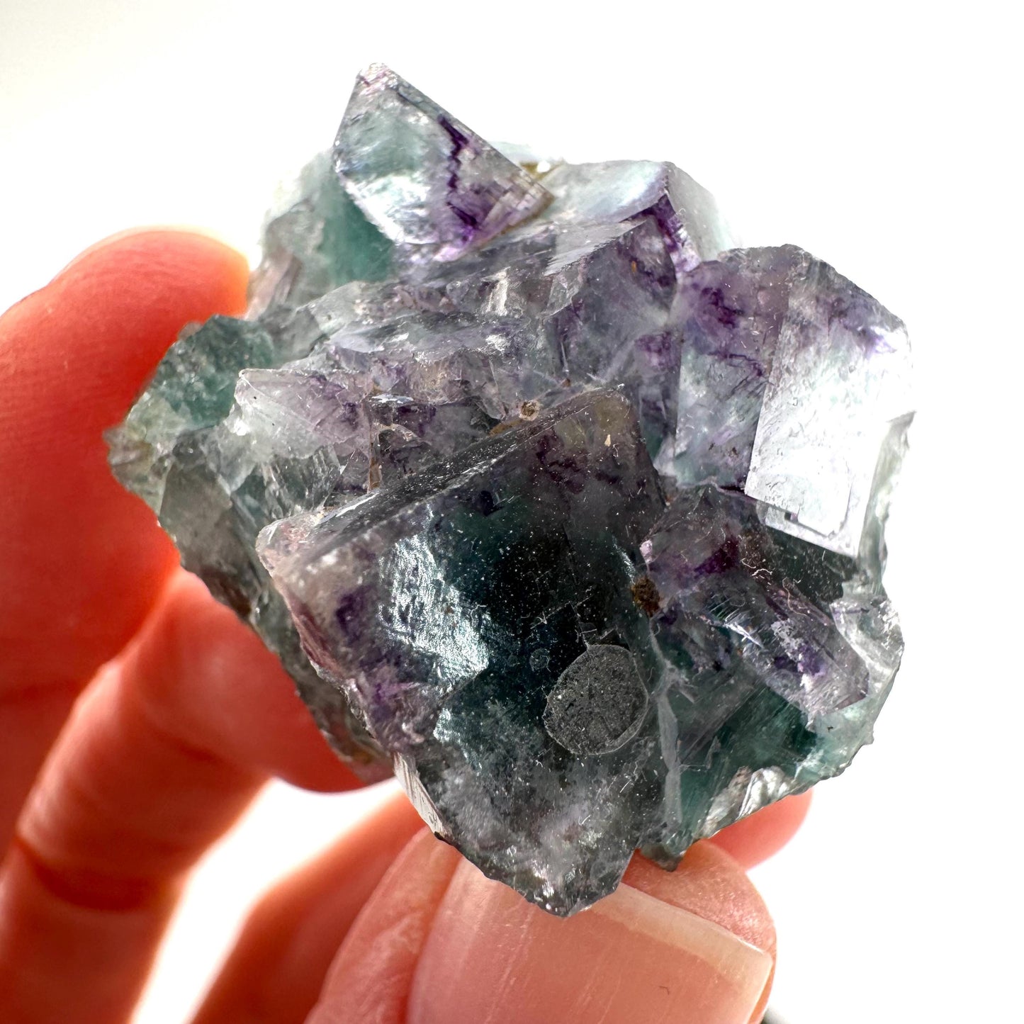 Okorusu Fluorite (Namibia) | green fluorite cluster, purple fluorite, crystals, mineral specimen
