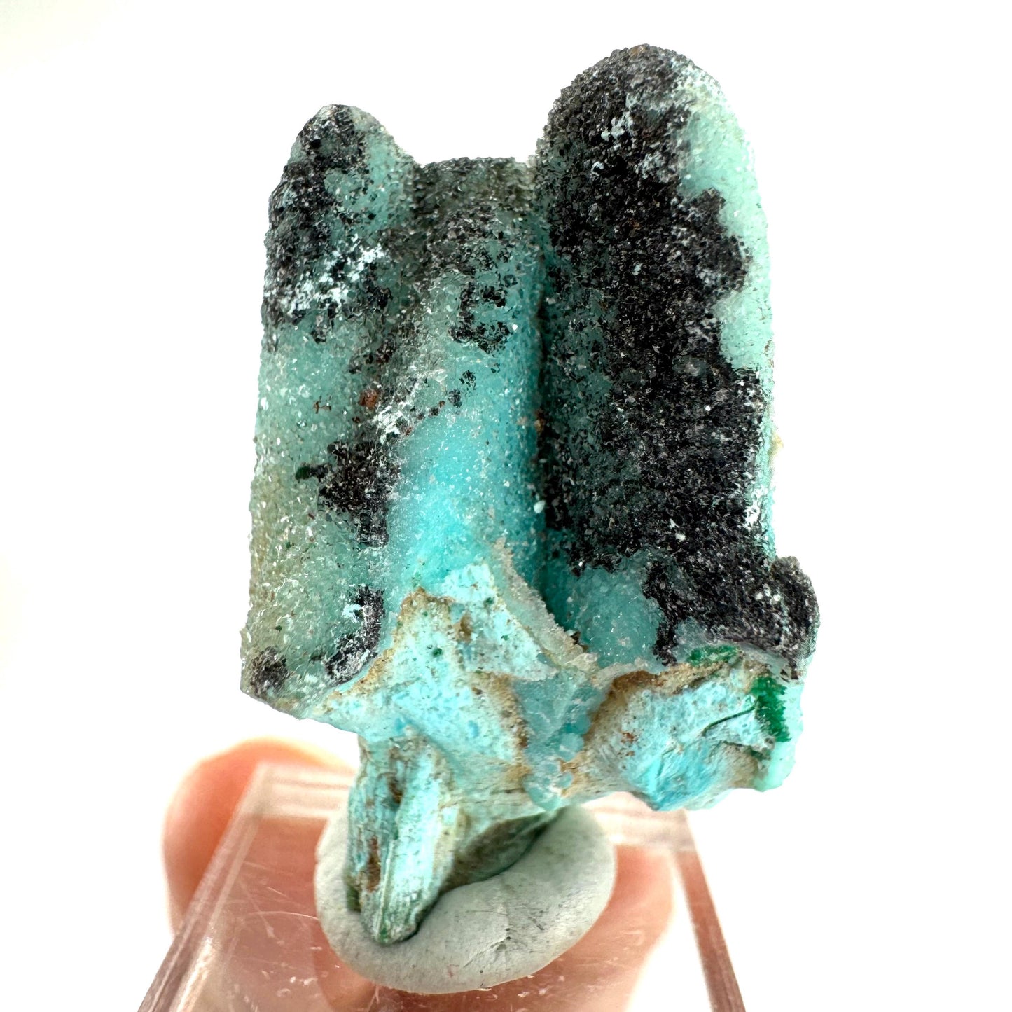Chrysocolla Pseudomorph after Azurite (DR Congo) | blue chrysocolla crystal, mineral specimen