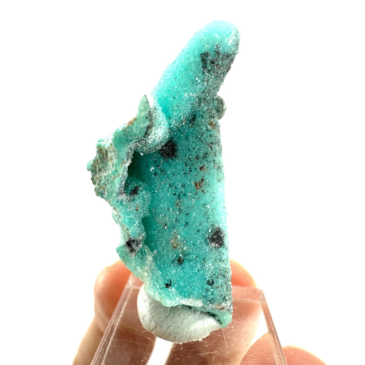 Chrysocolla Pseudomorph after Azurite (DR Congo) | blue chrysocolla crystal, mineral specimen