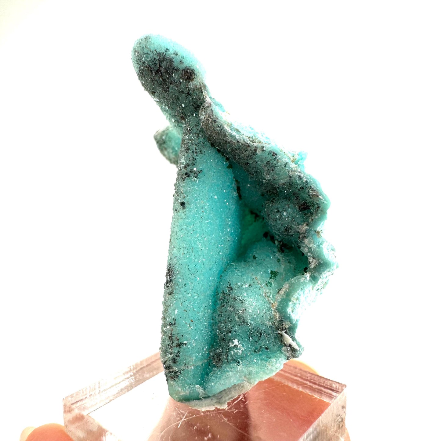 Chrysocolla Pseudomorph after Azurite (DR Congo) | blue chrysocolla crystal, mineral specimen