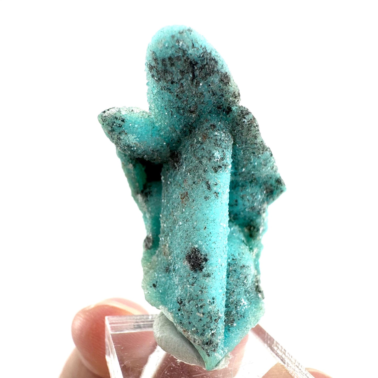 Chrysocolla Pseudomorph after Azurite (DR Congo) | blue chrysocolla crystal, mineral specimen