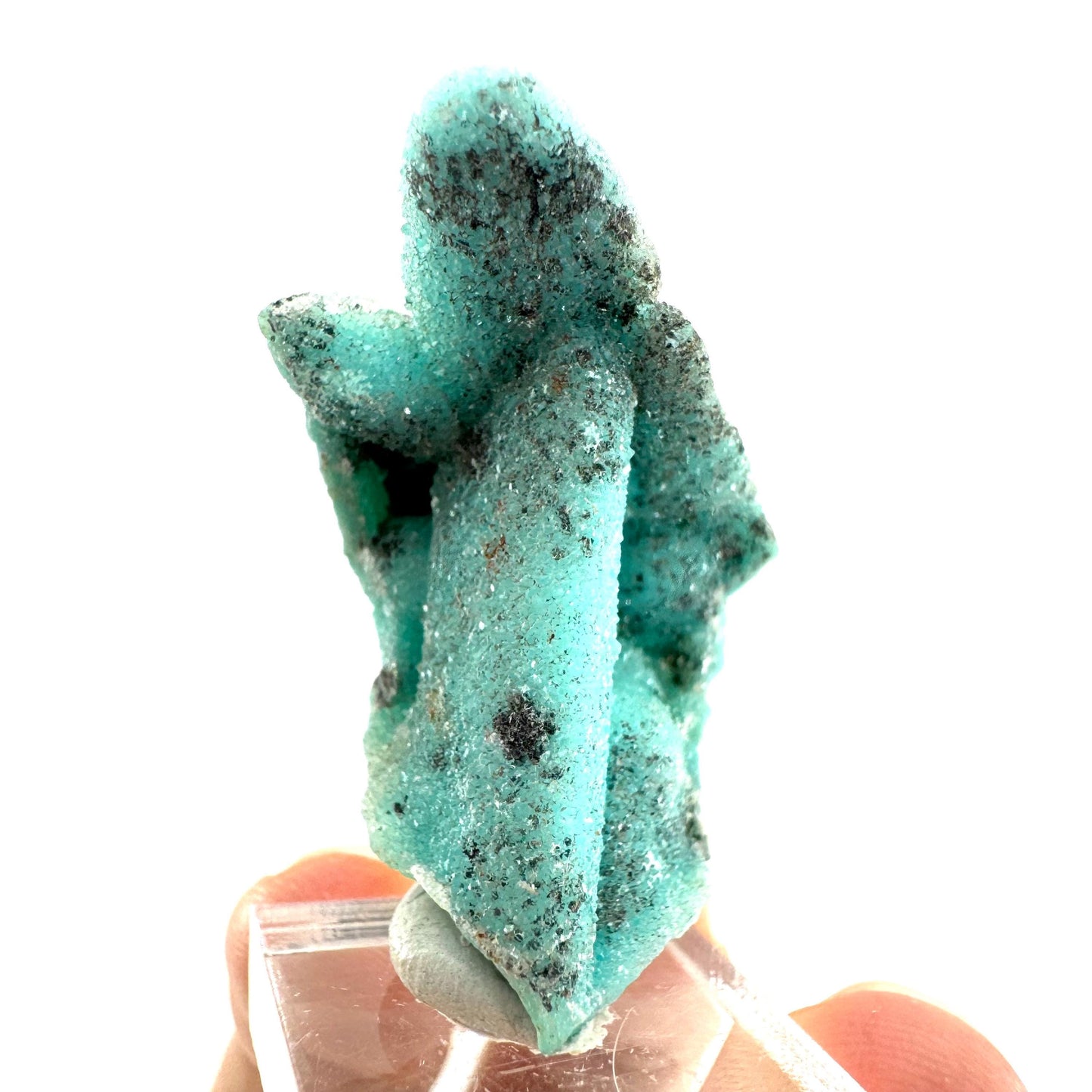 Chrysocolla Pseudomorph after Azurite (DR Congo) | blue chrysocolla crystal, mineral specimen