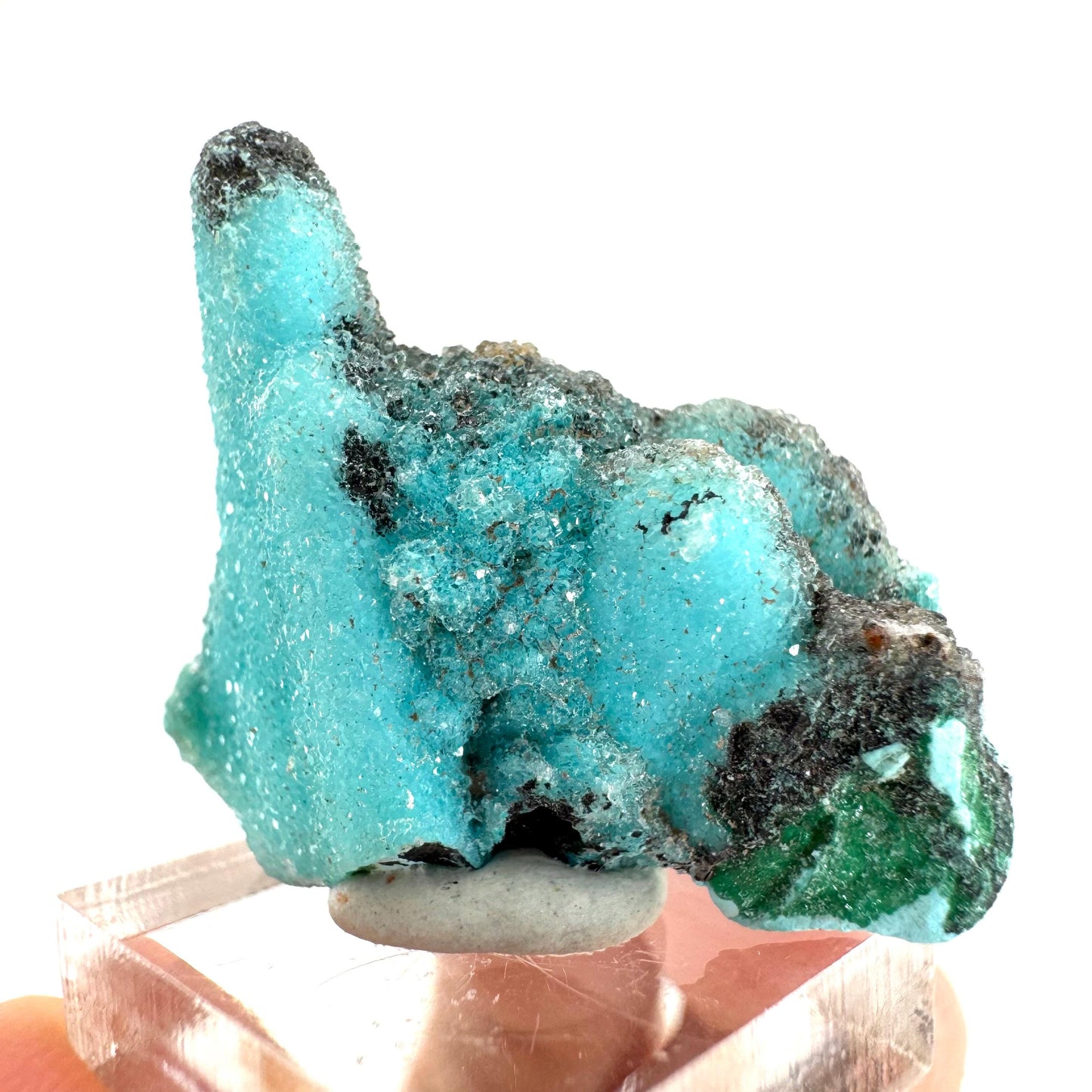 Chrysocolla Pseudomorph after Azurite (DR Congo) | blue chrysocolla crystal, mineral specimen