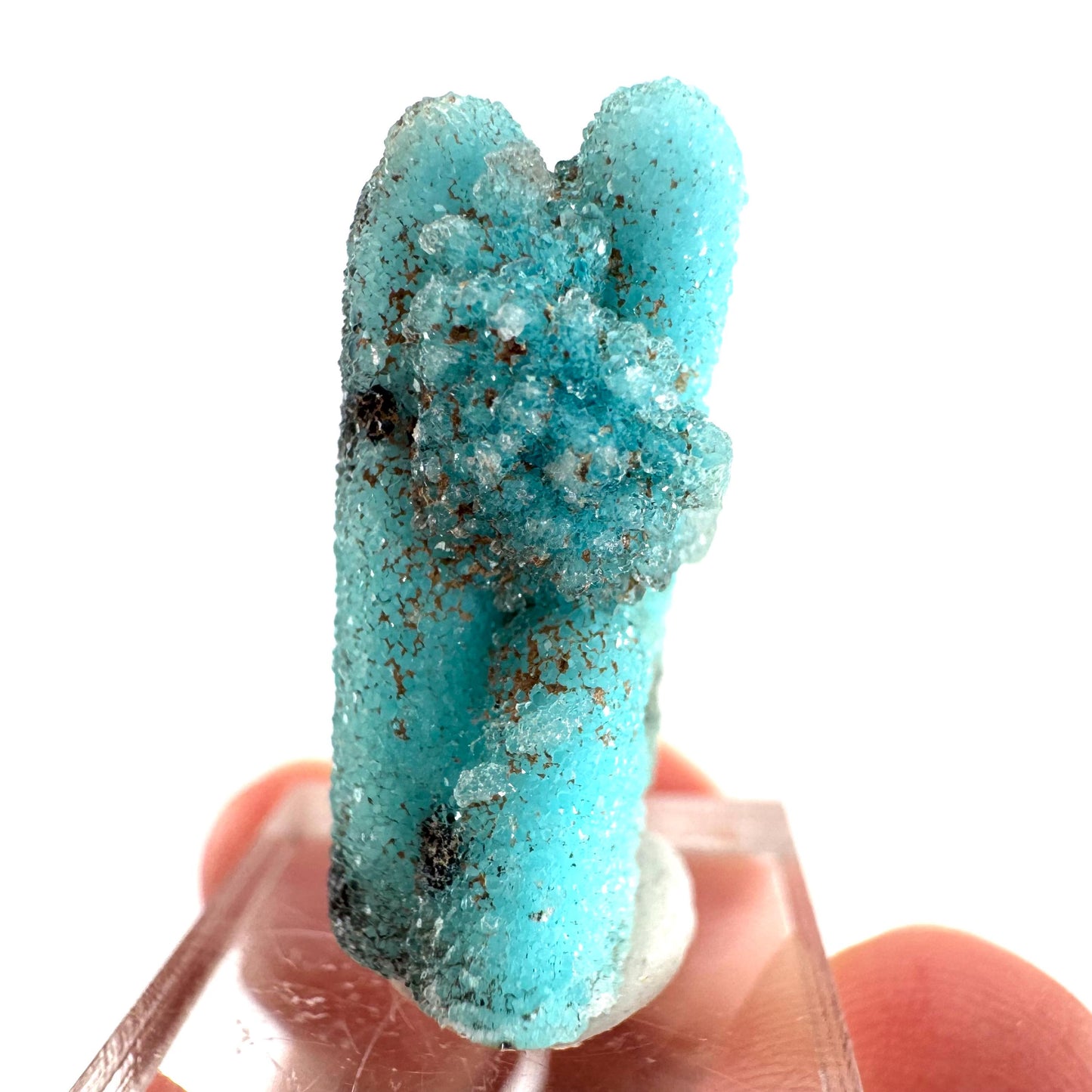 Chrysocolla Pseudomorph after Azurite (DR Congo) | blue chrysocolla crystal, mineral specimen