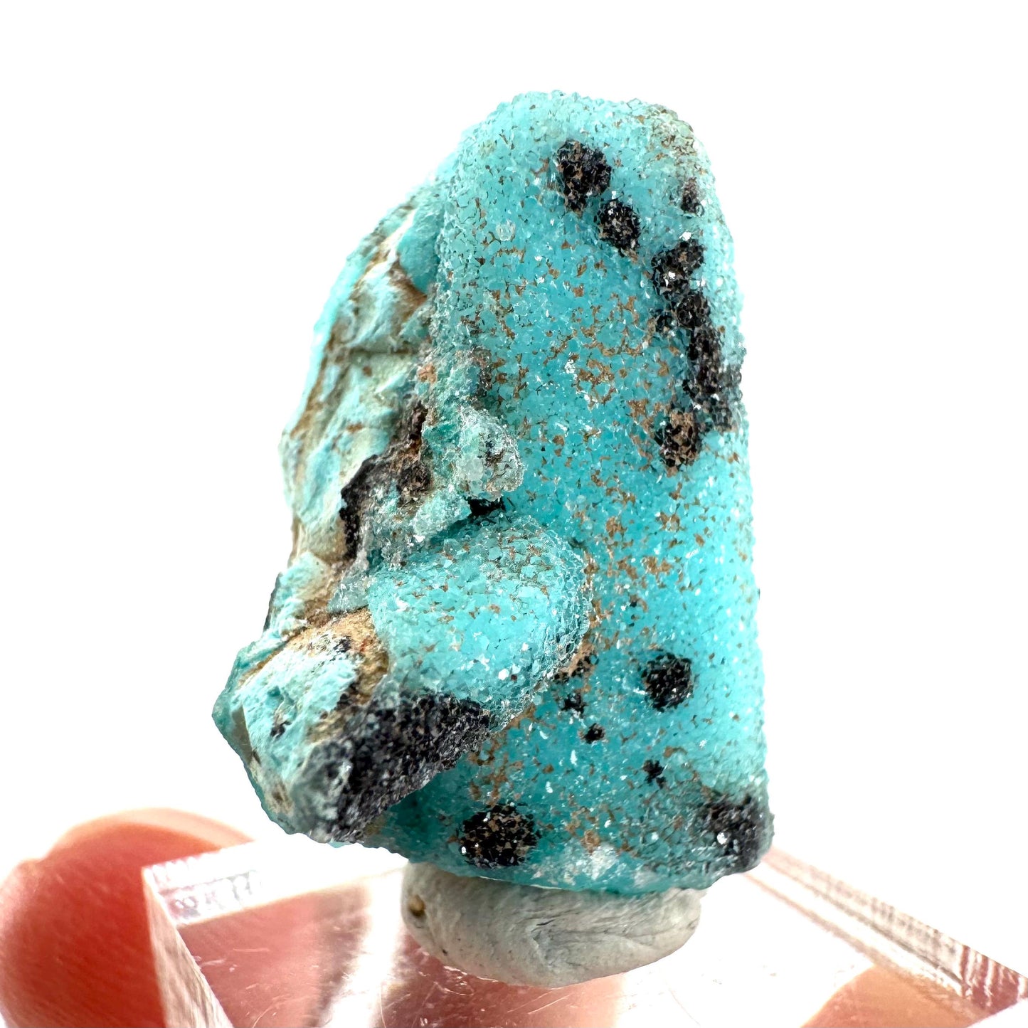 Chrysocolla Pseudomorph after Azurite (DR Congo) | blue chrysocolla crystal, mineral specimen