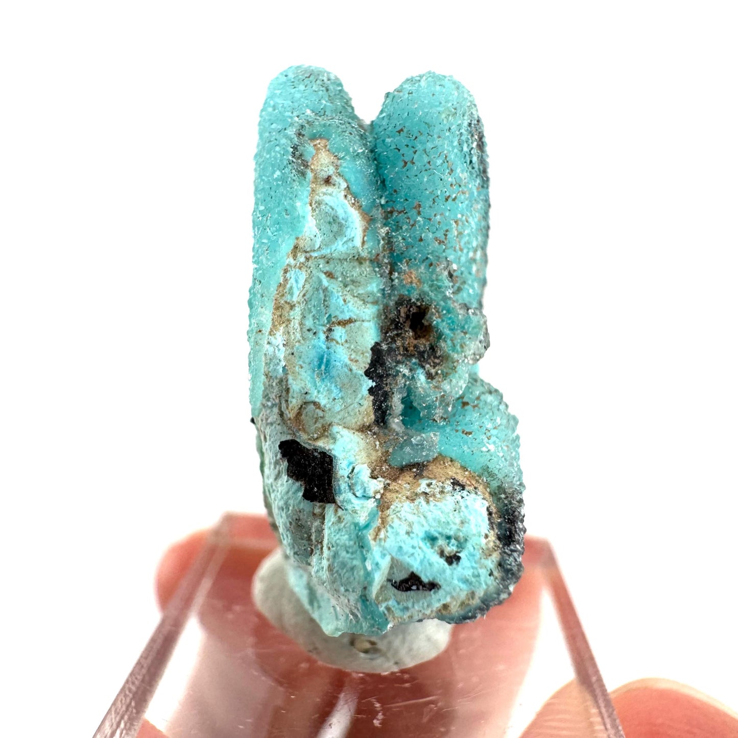 Chrysocolla Pseudomorph after Azurite (DR Congo) | blue chrysocolla crystal, mineral specimen