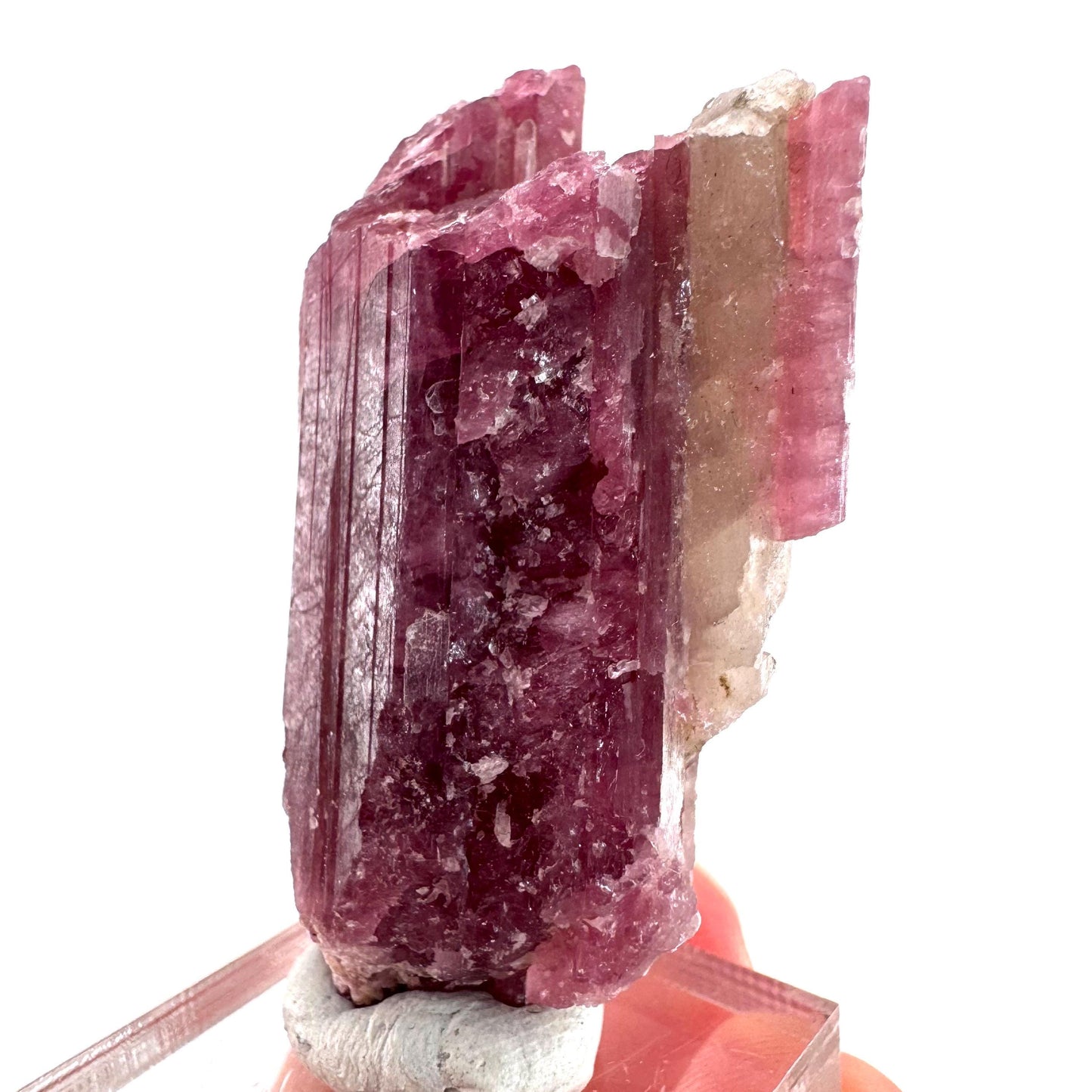 Rossmanite (Tanco Mine, Canada) | pink tourmaline crystal, rare minerals